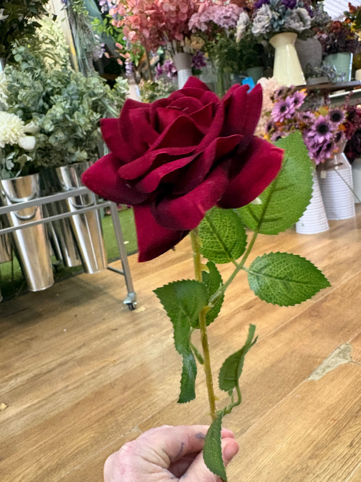 Dark red single velvet rose