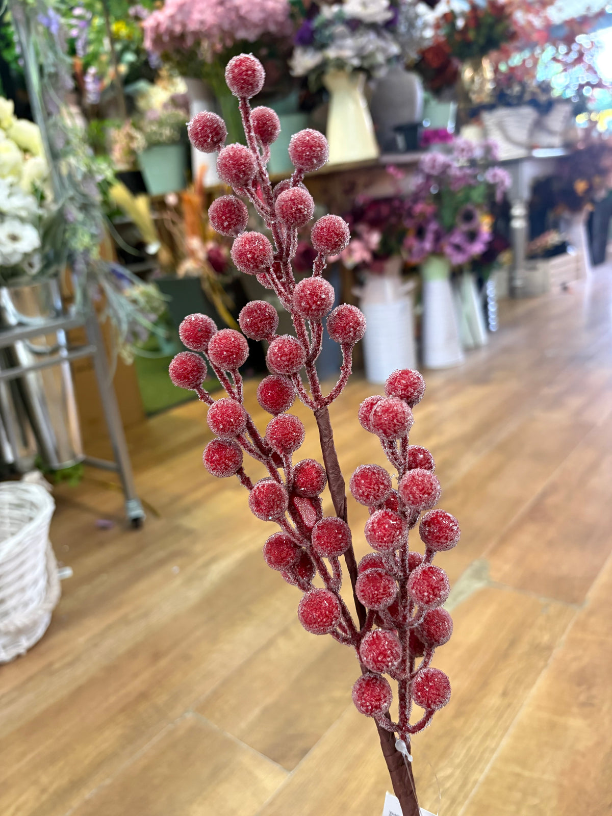 Mediums length frosted darker red berry stem