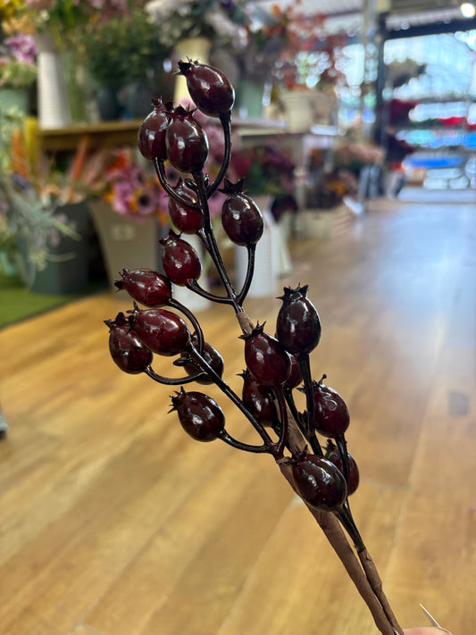 Deep burgundy rose hip pick