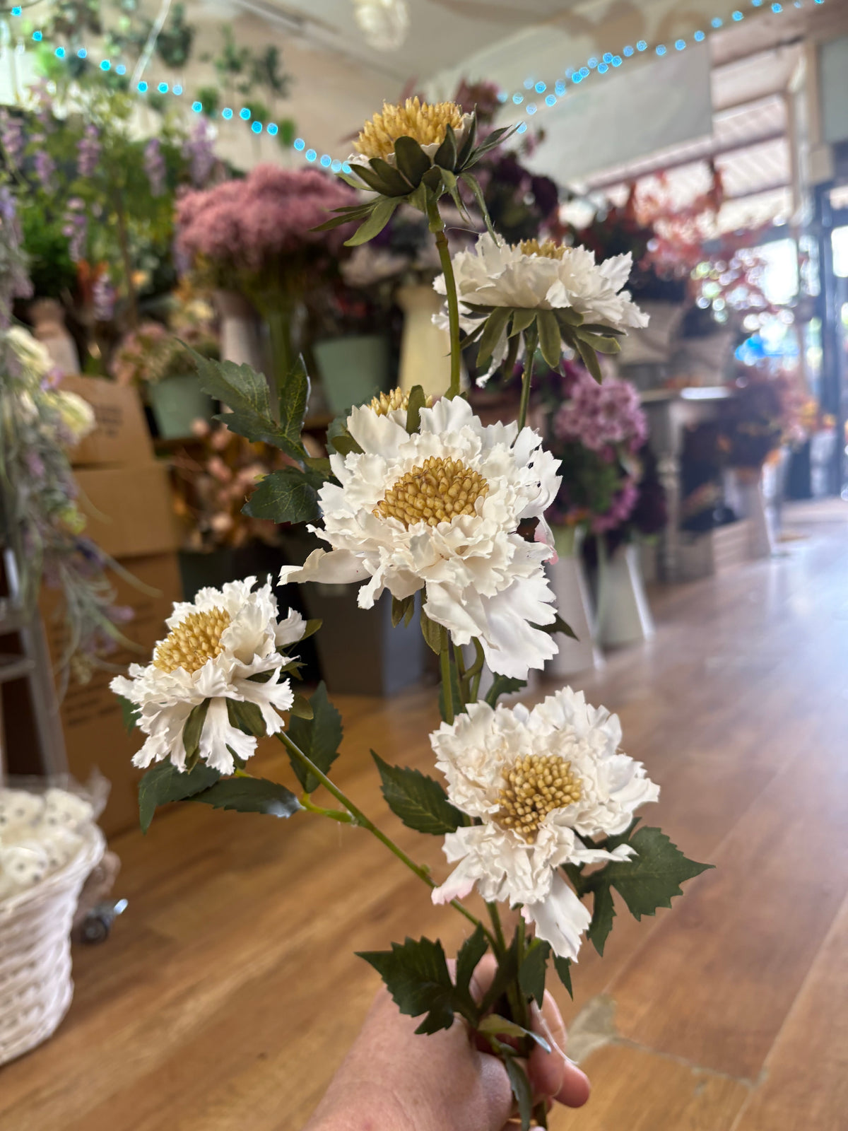 75cm tall cream ruffled scabiosa spray