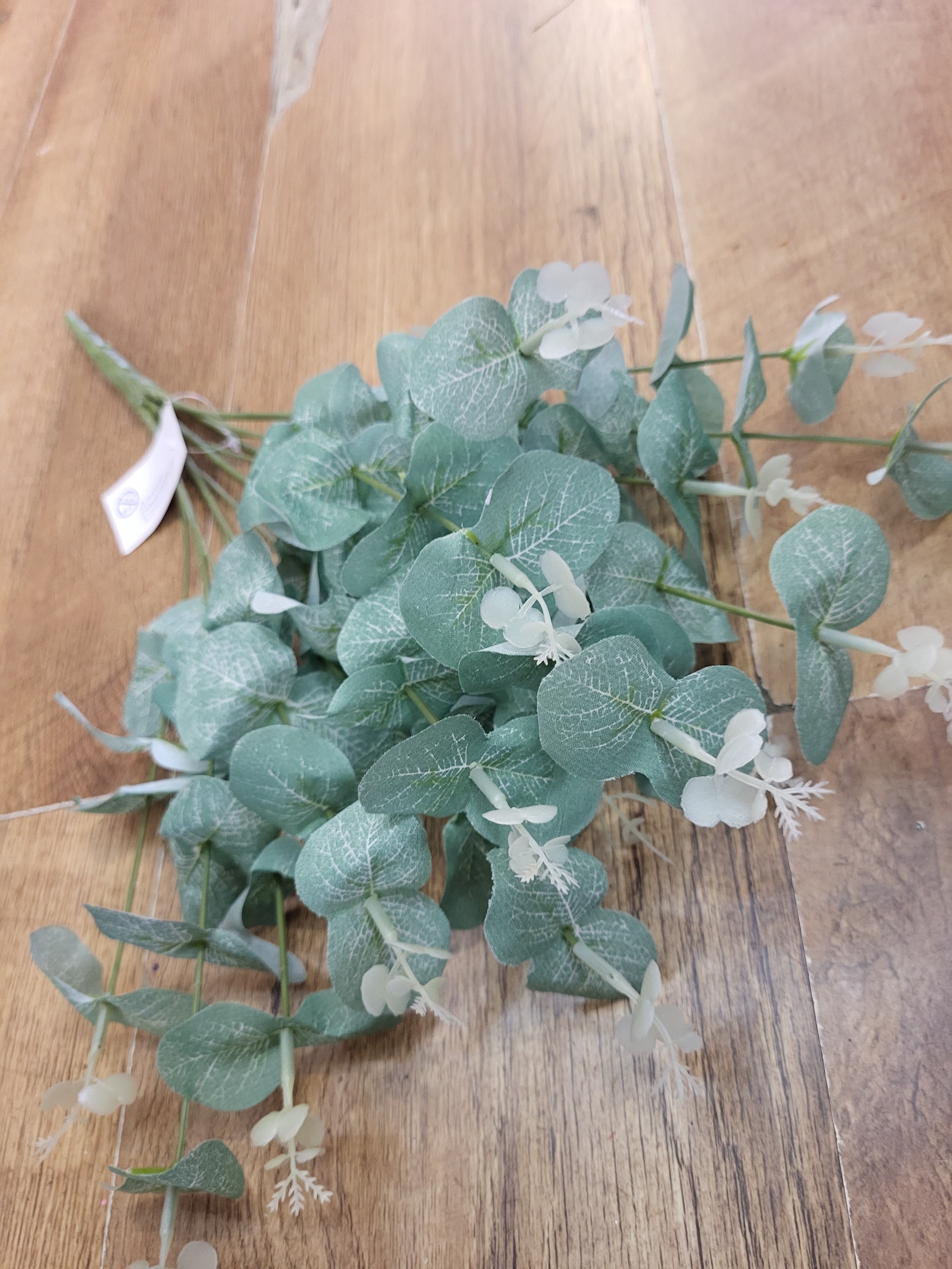 Big bunch green eucalyptus  image 0