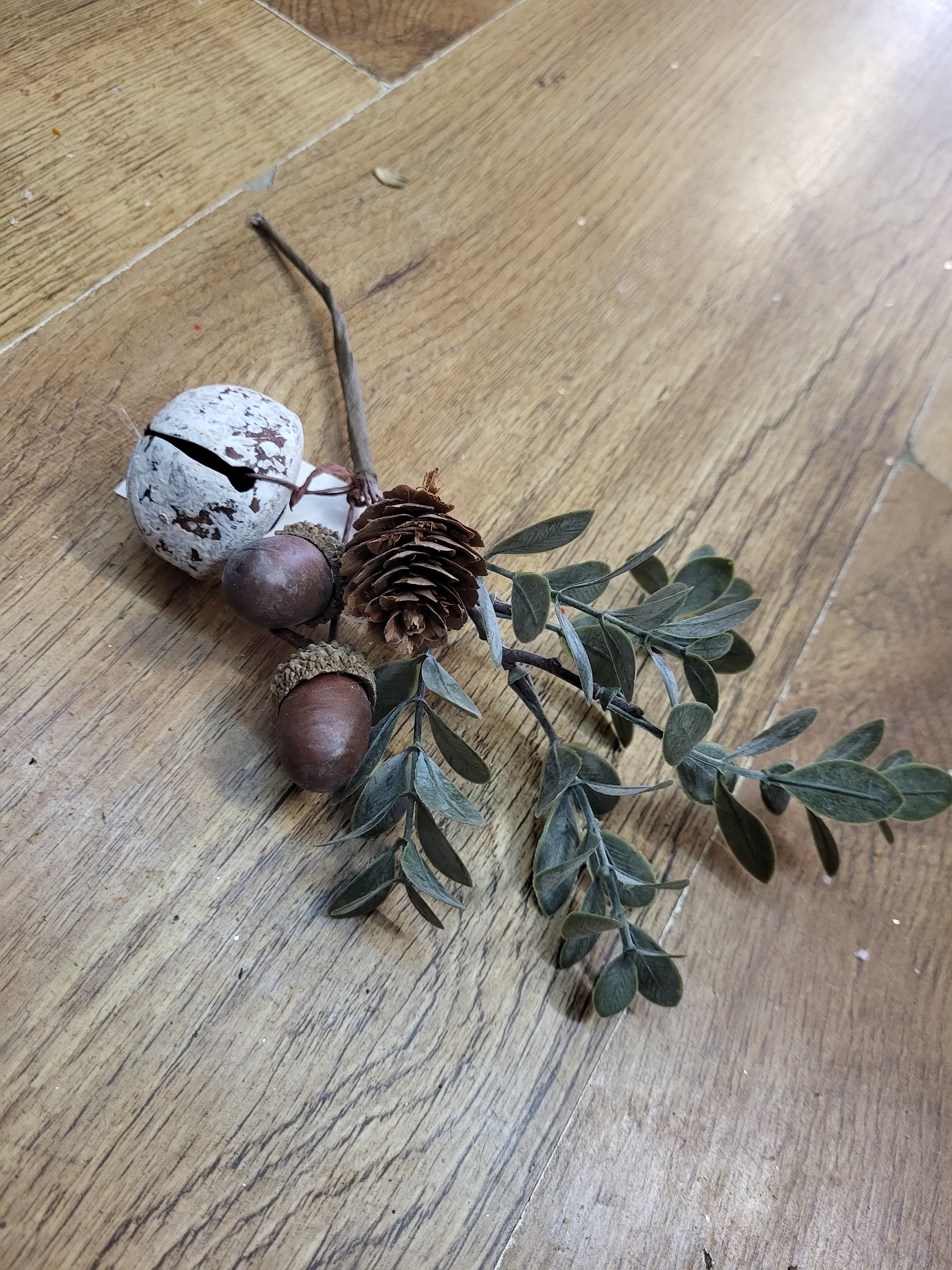 Acorn and bell pick image 0