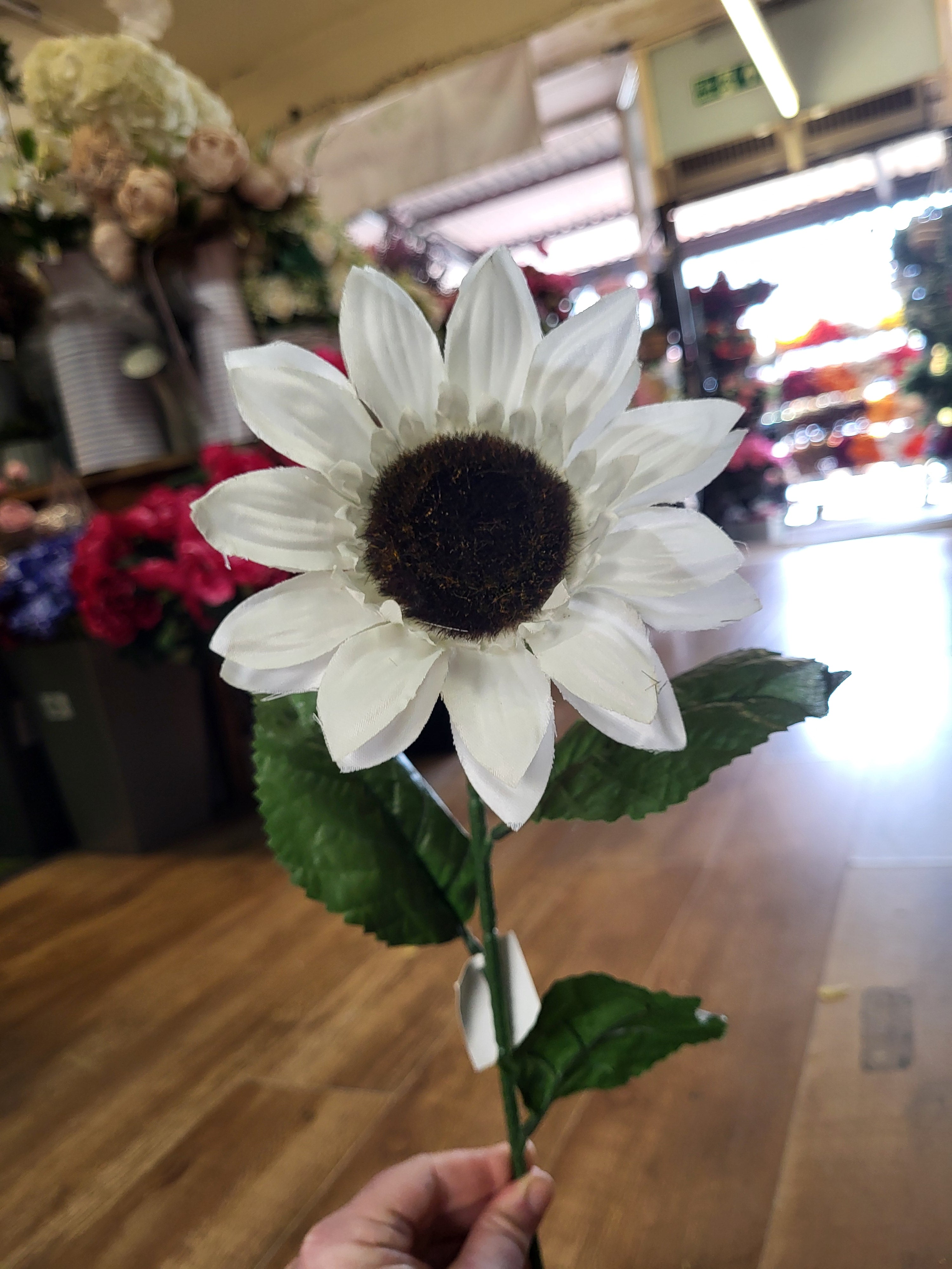 Clearance!! Long stem white sunflower  image 2