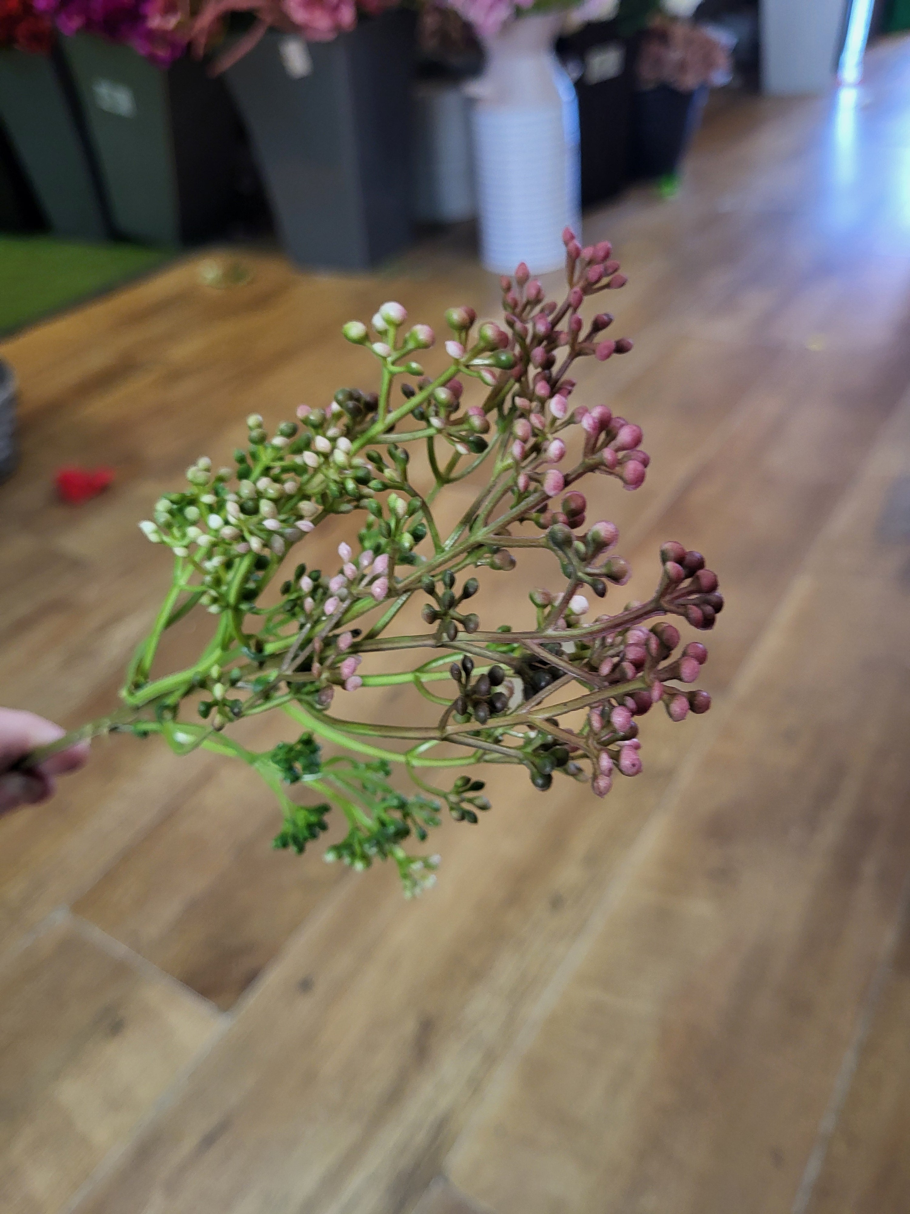 Mulberry tinted Felicity bud pick  image 1