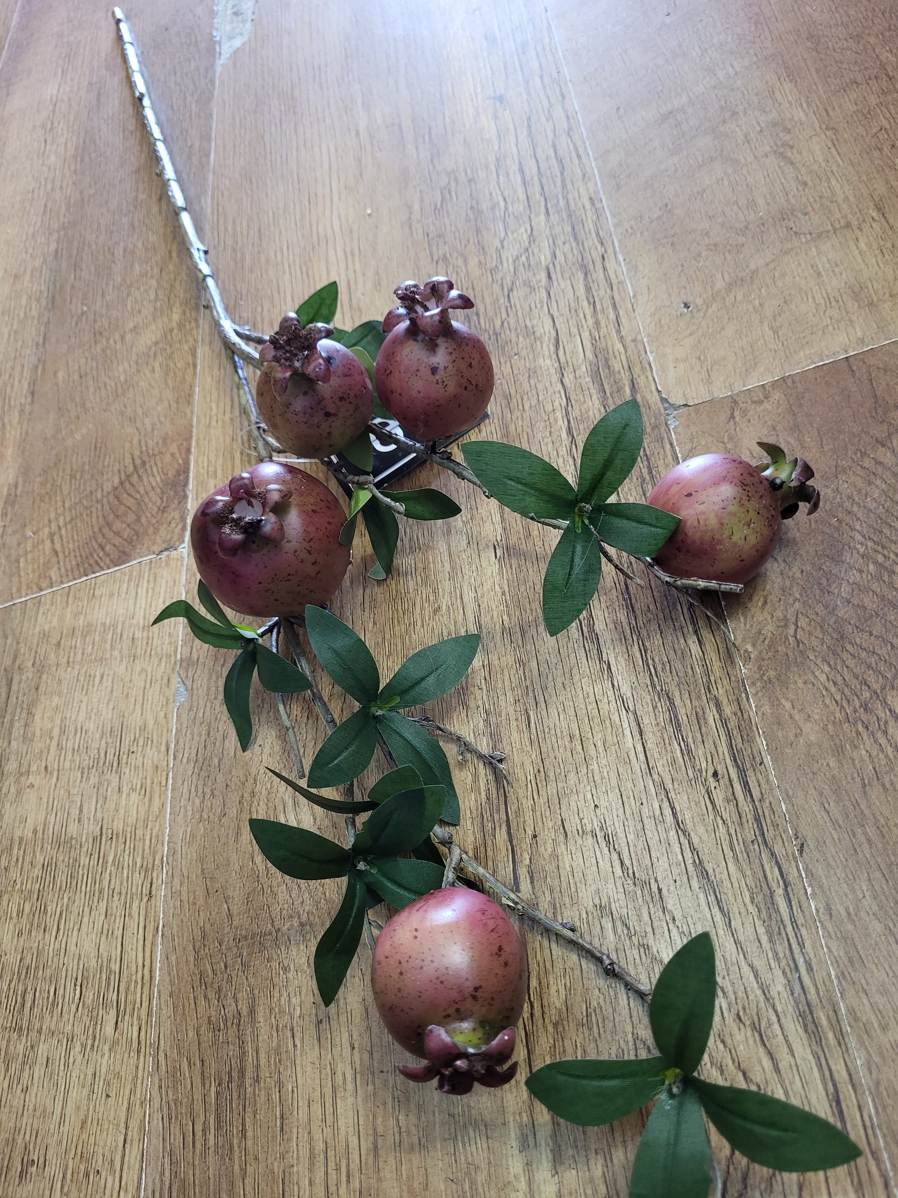 72cm tall Pomegranate branch image 0