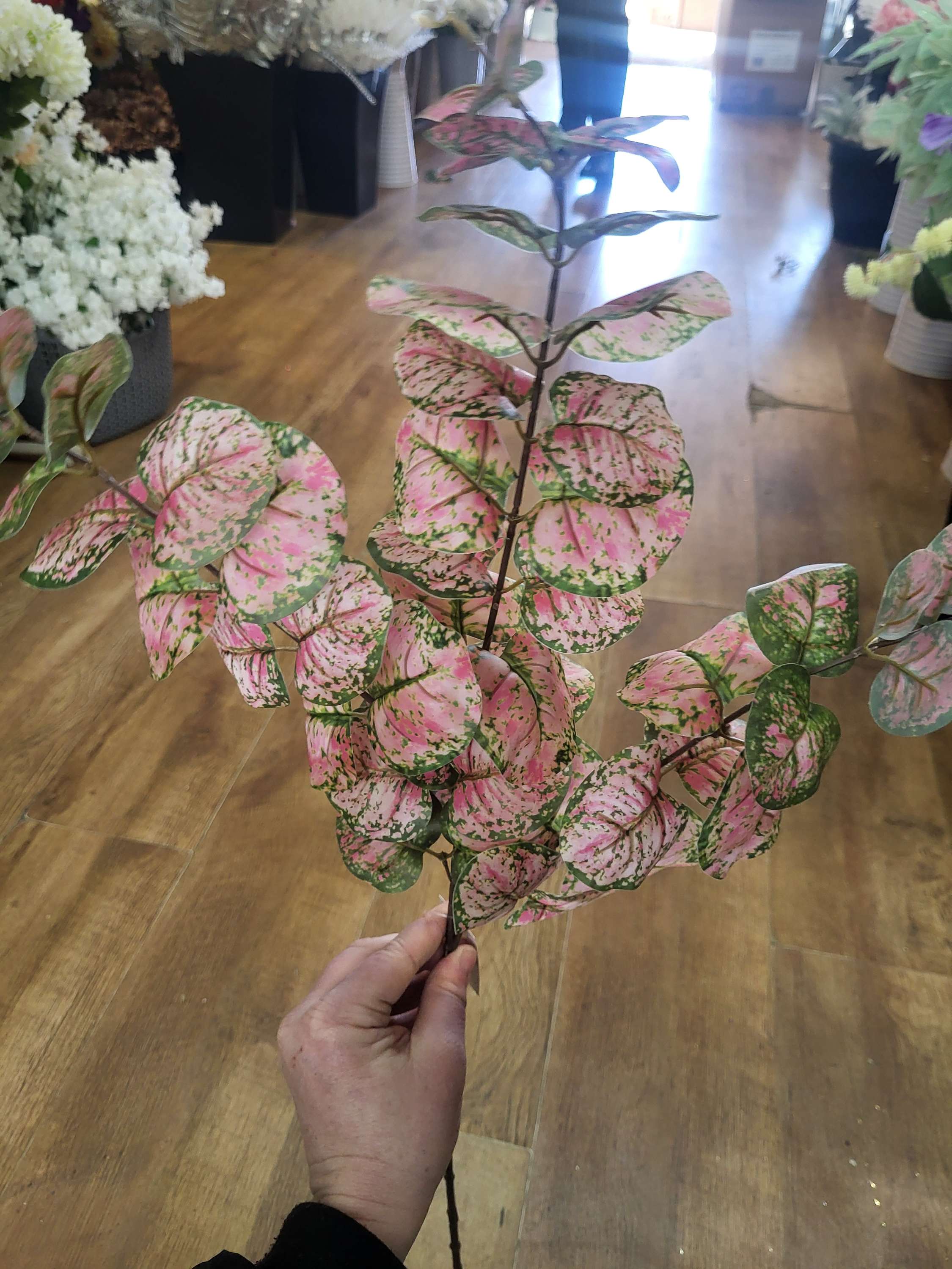 Long stem pink and green rounded eucalyptus spray image 3