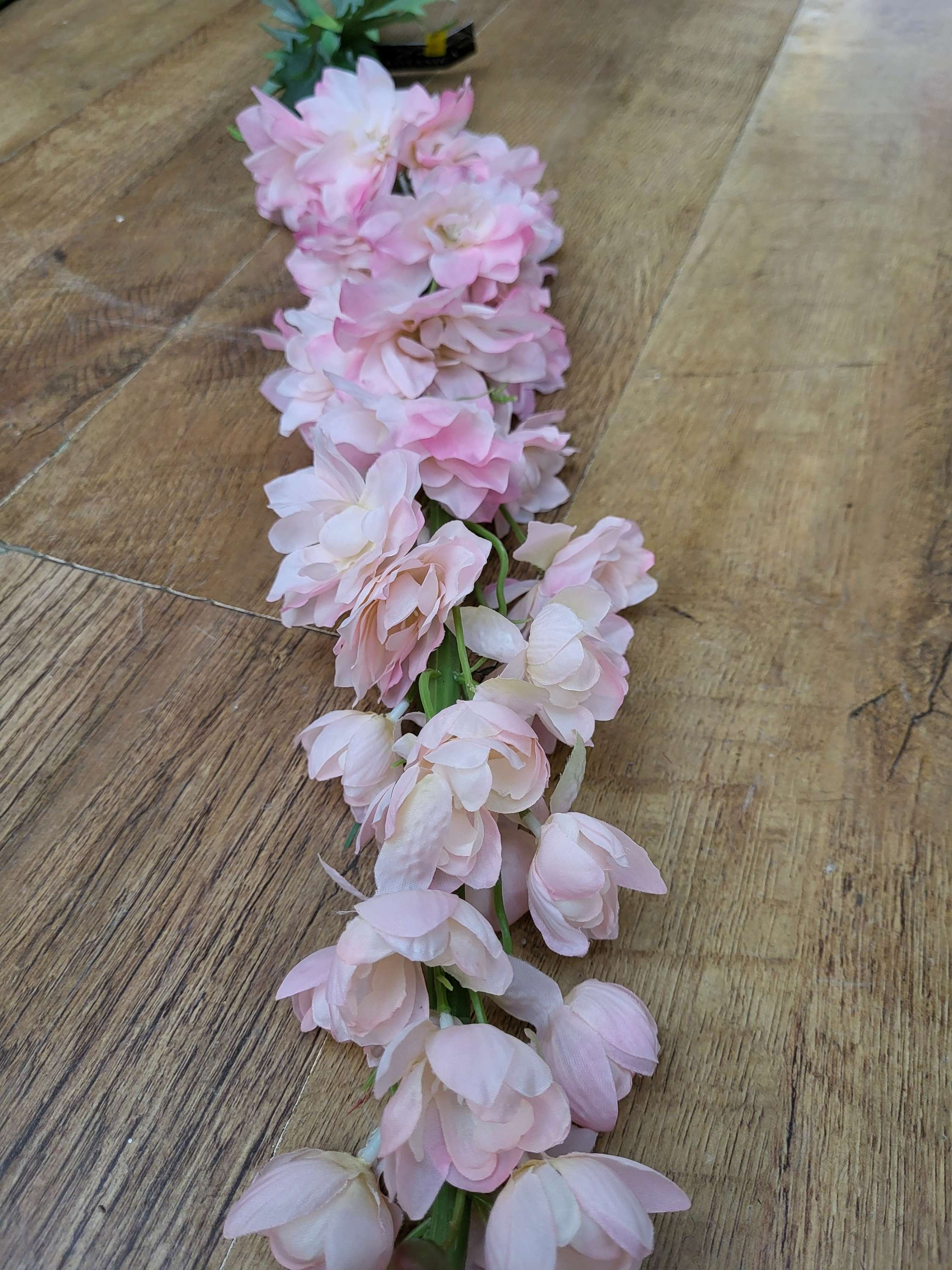 Giant delphiniums!! 137cm tall! - 4 colours available image 8