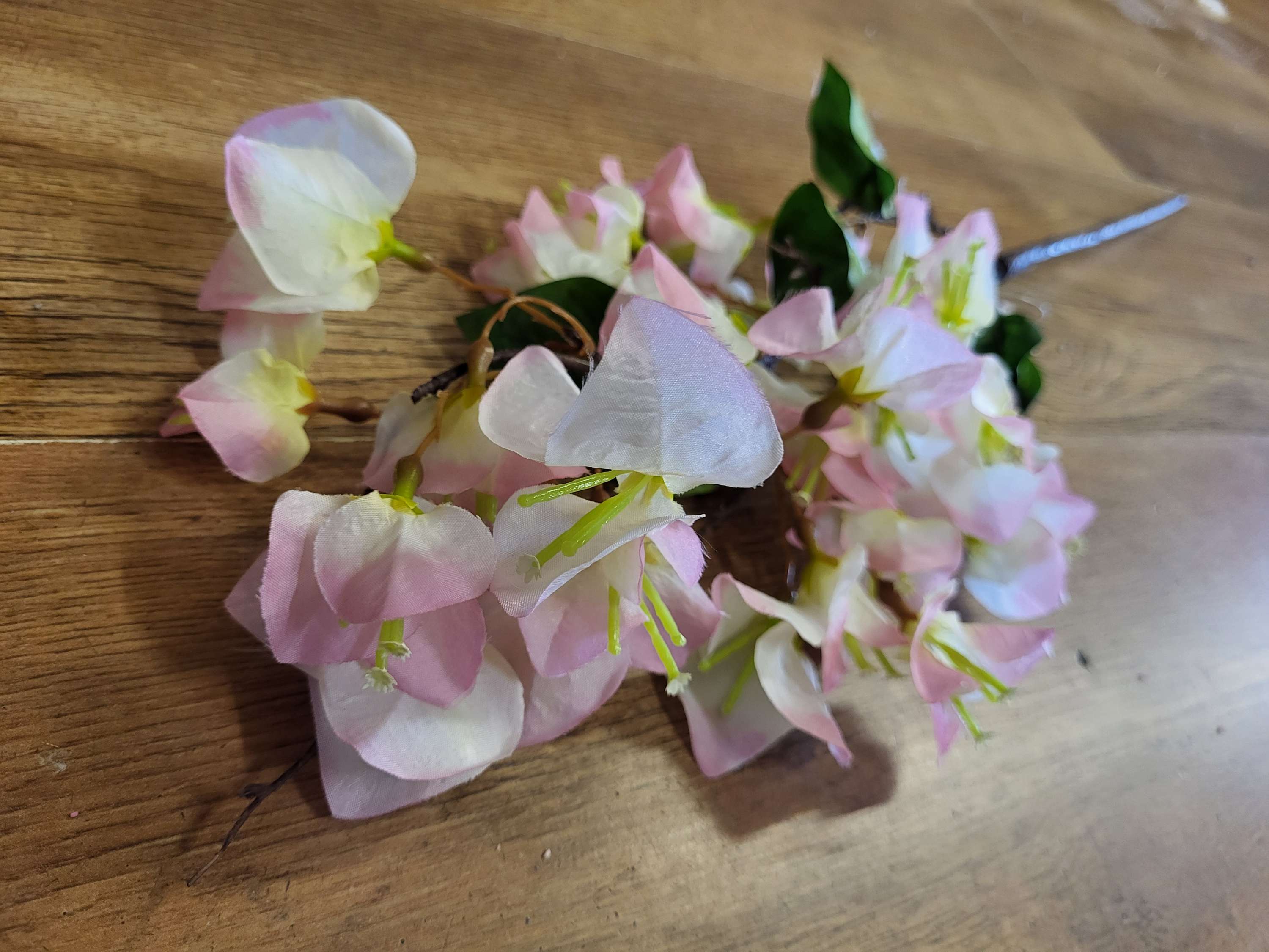 Pink bougainvillea stem image 2
