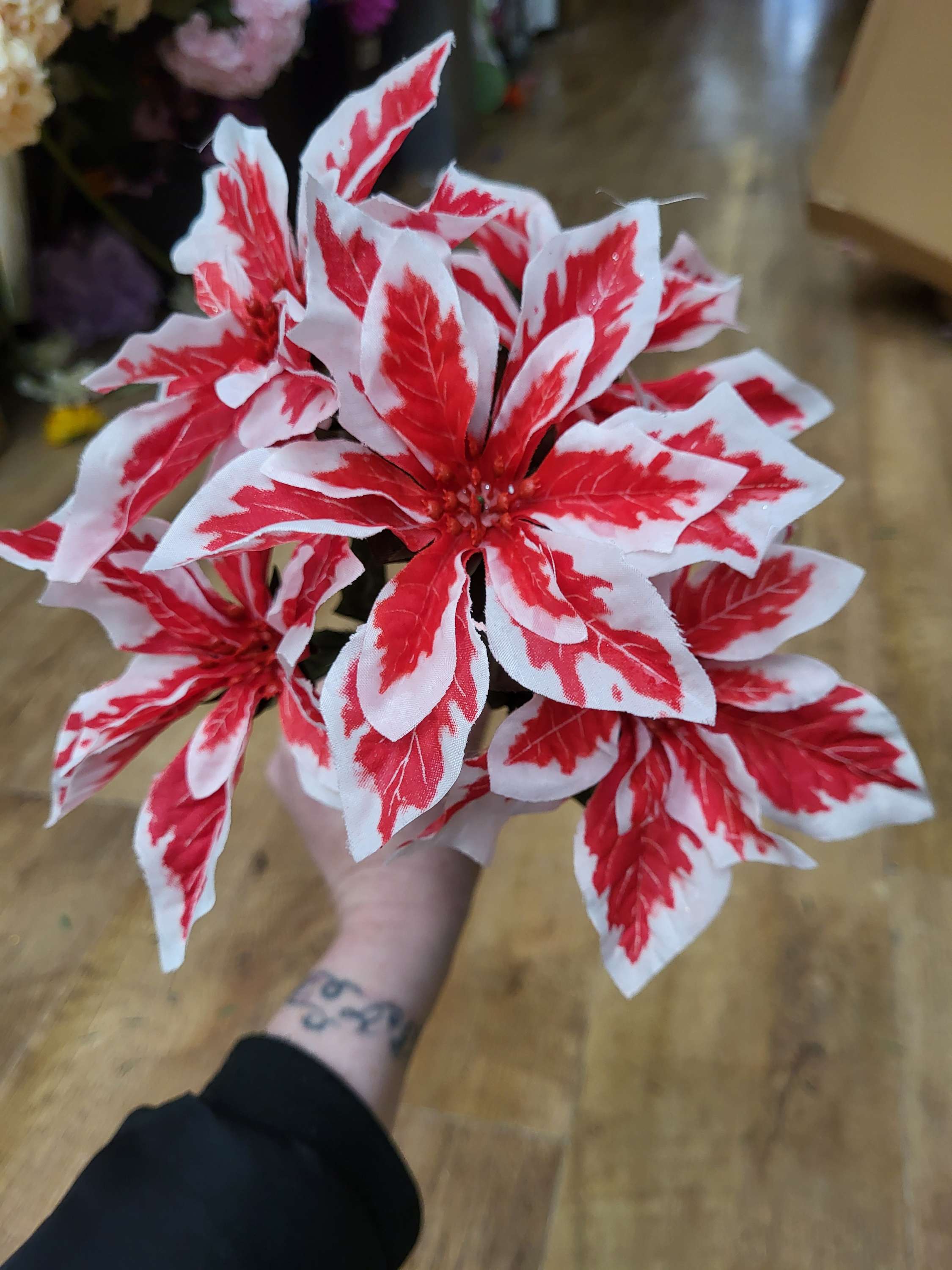 Red and white poinsettia bunch image 0