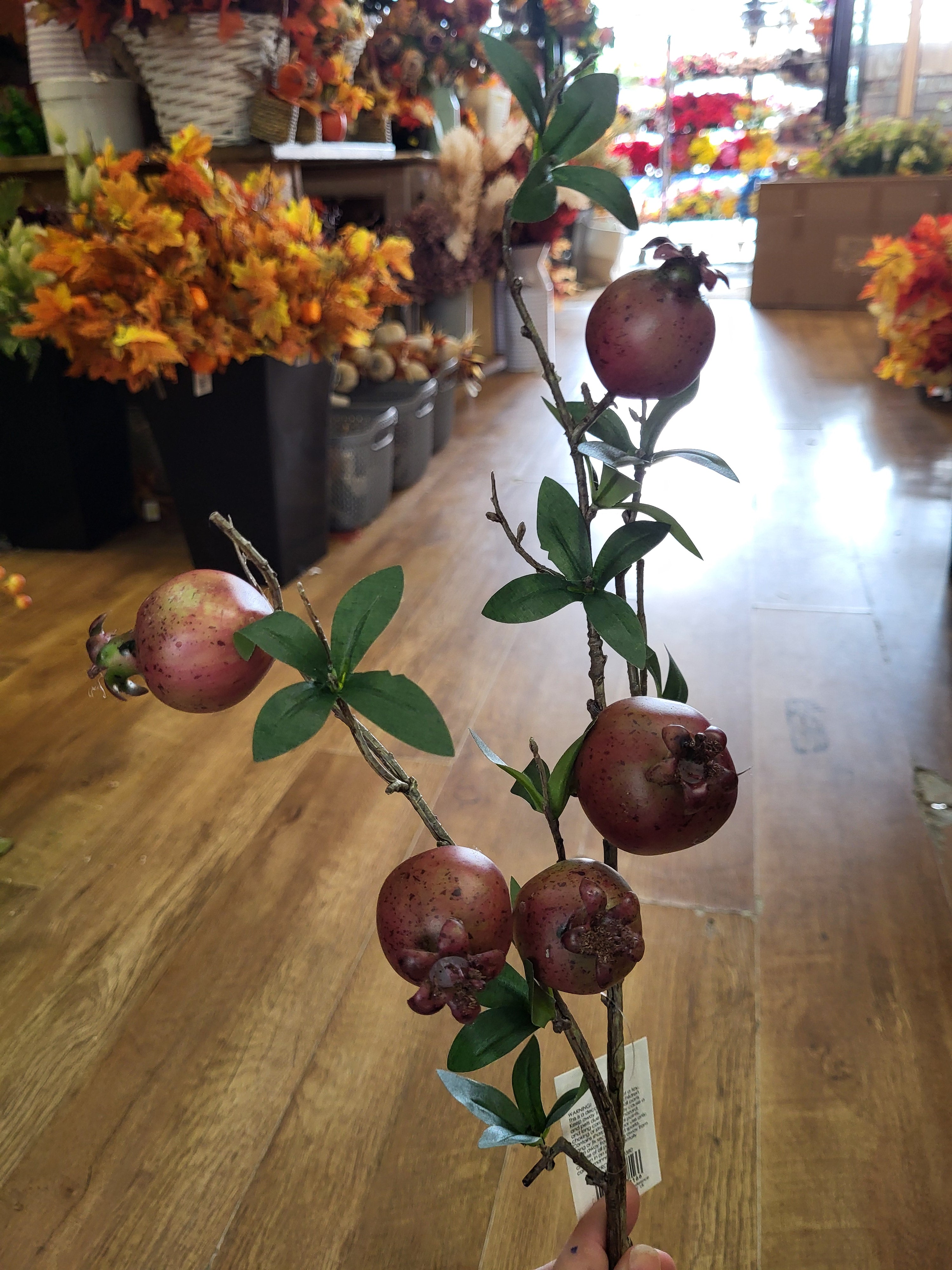 72cm tall Pomegranate branch image 1