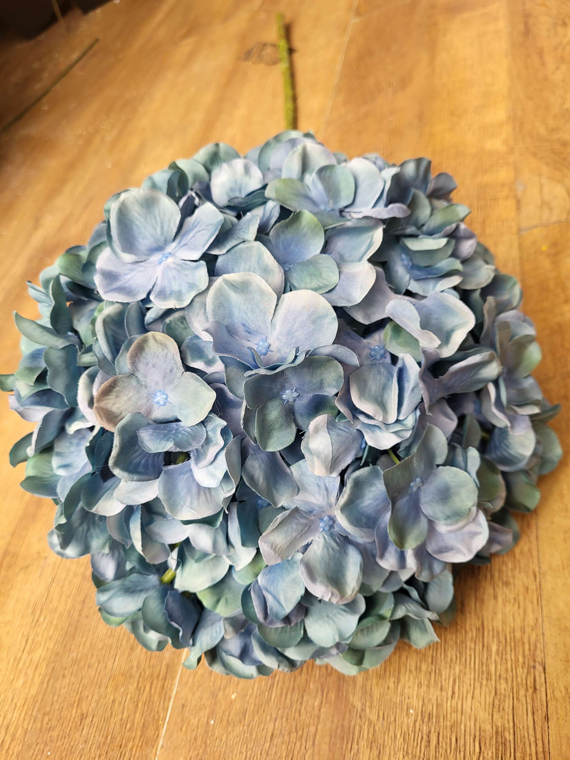 Giant head mixed blue/green premium hydrangea  image 2
