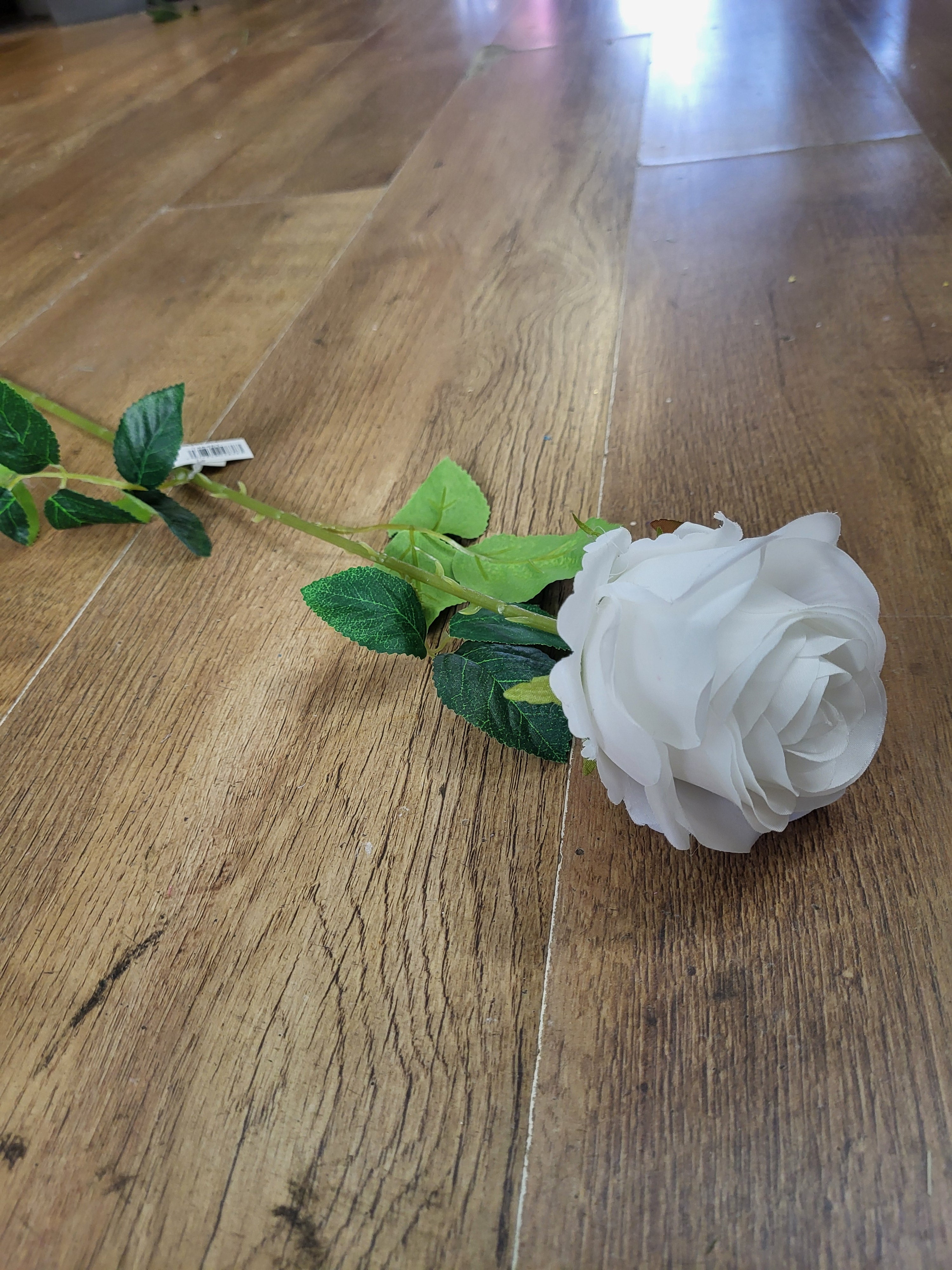 Single white Harper rose image 0