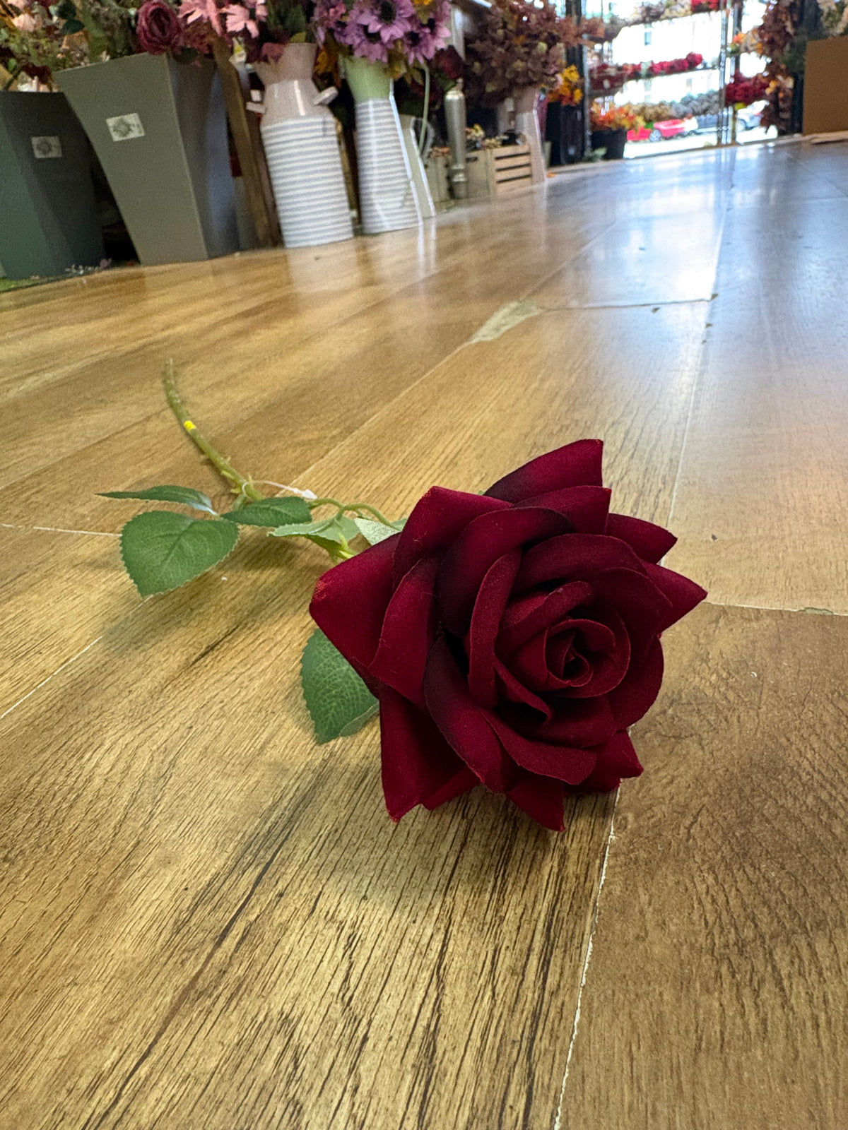 Dark red velvet single rose
