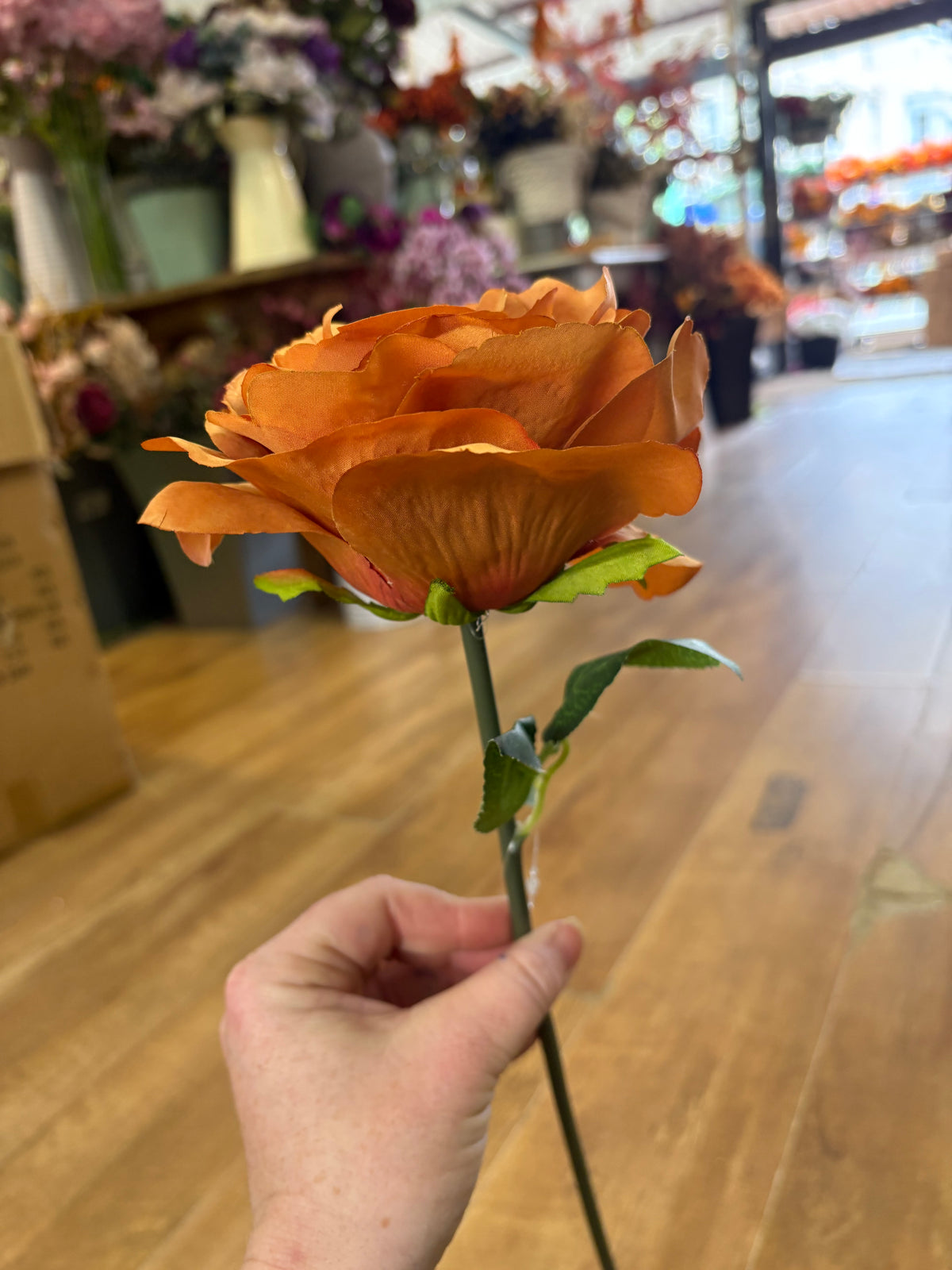 Medium length burnt orange Tudor rose