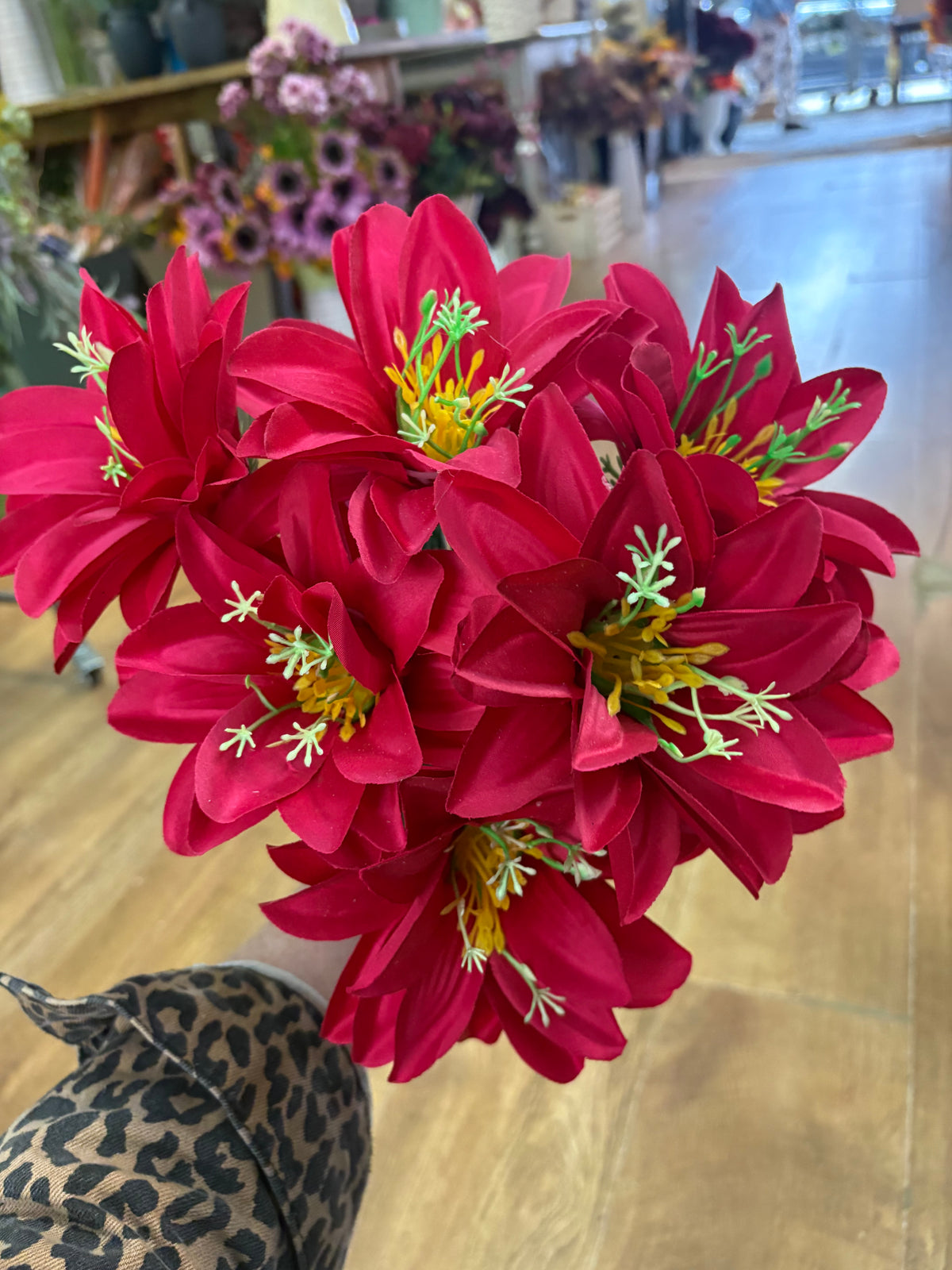 Long stem clearance bundle of 6 cerise exotic stems
