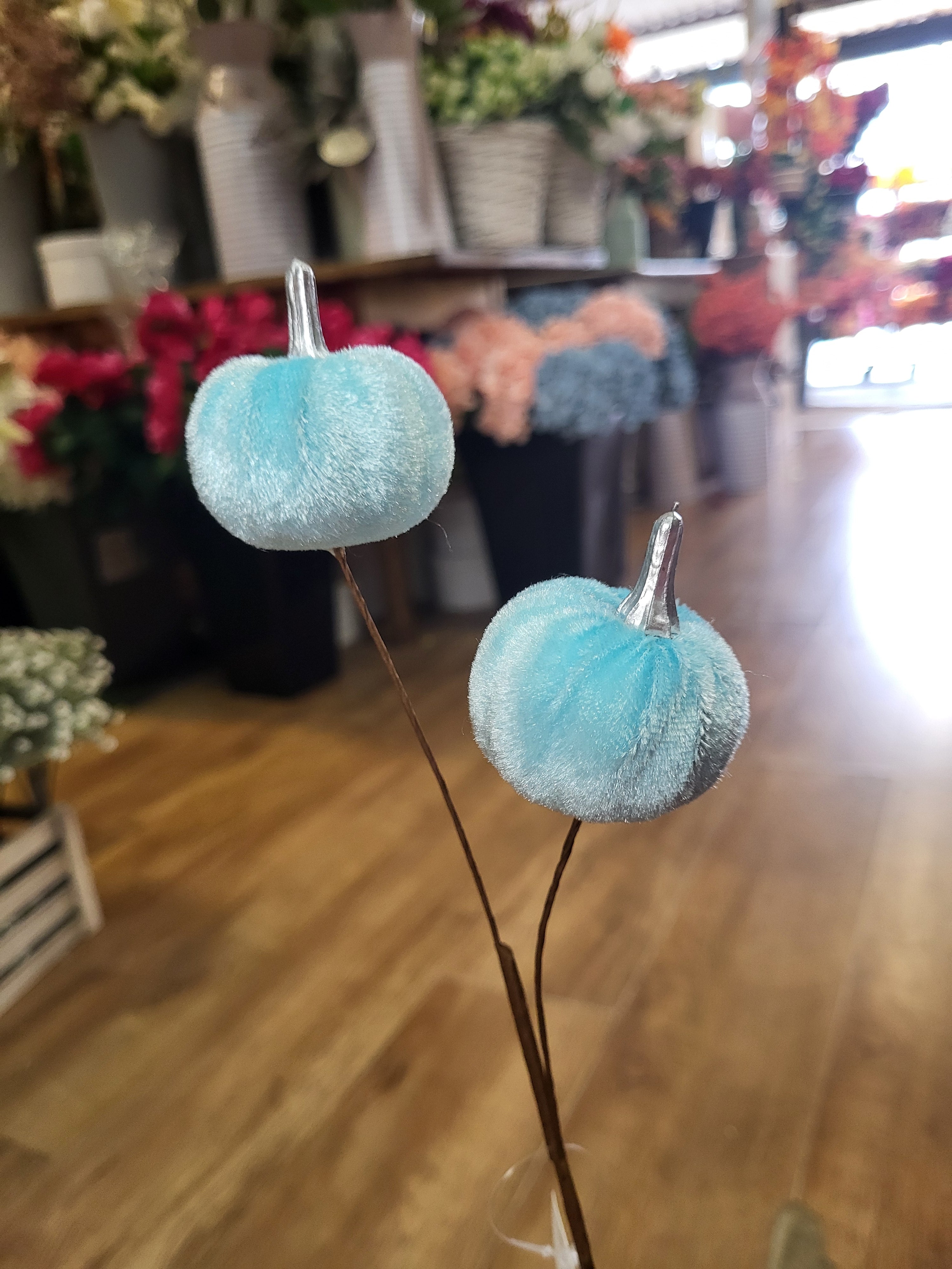 Medium length pale blue velvet pumpkin stem  image 0