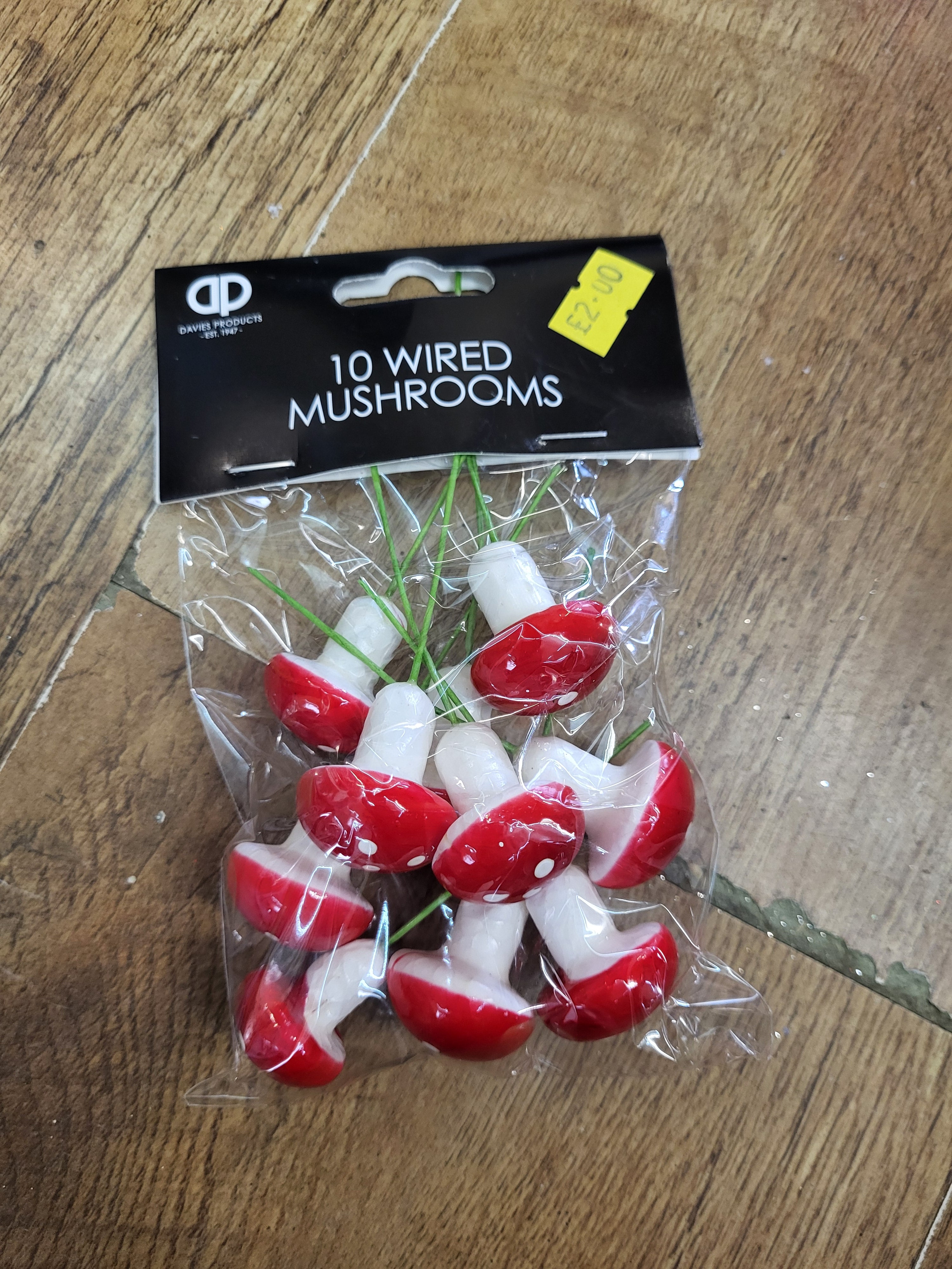 Pack of 10 wired miniature mushrooms image 0