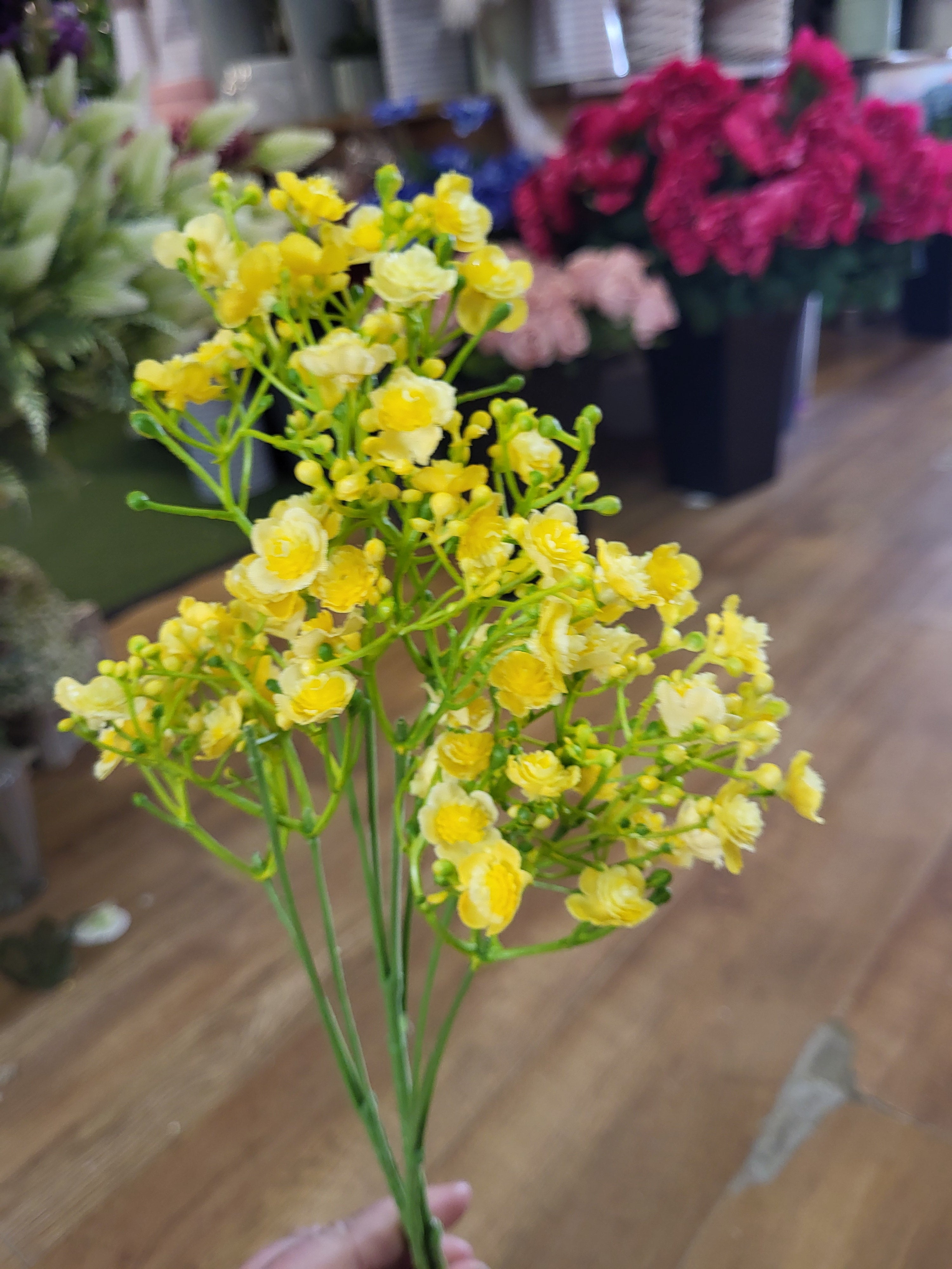 Long stem yellow babies breath image 1