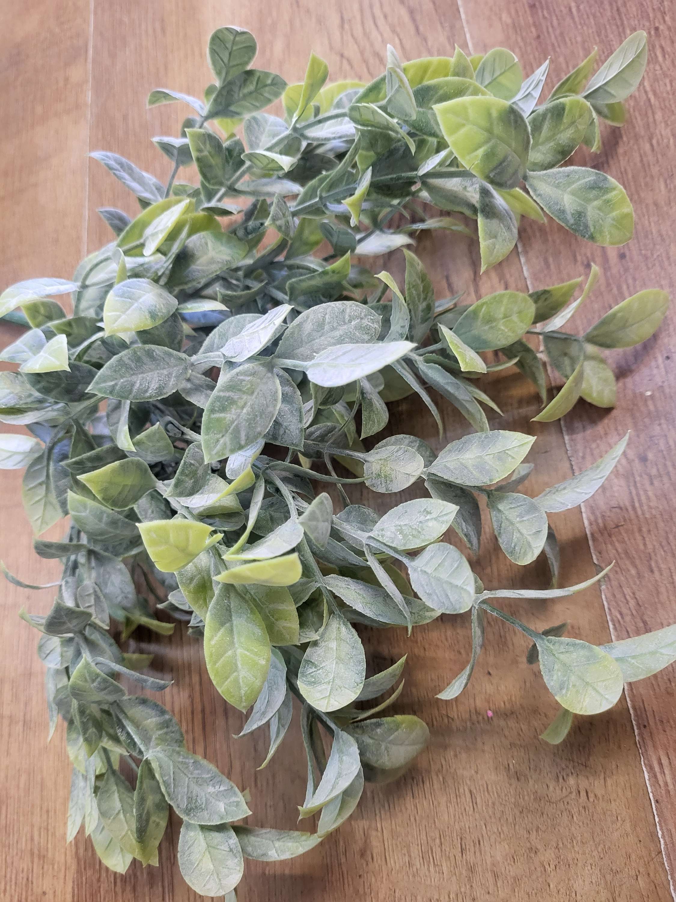 Long stem natural green nagi leaf bunch image 1