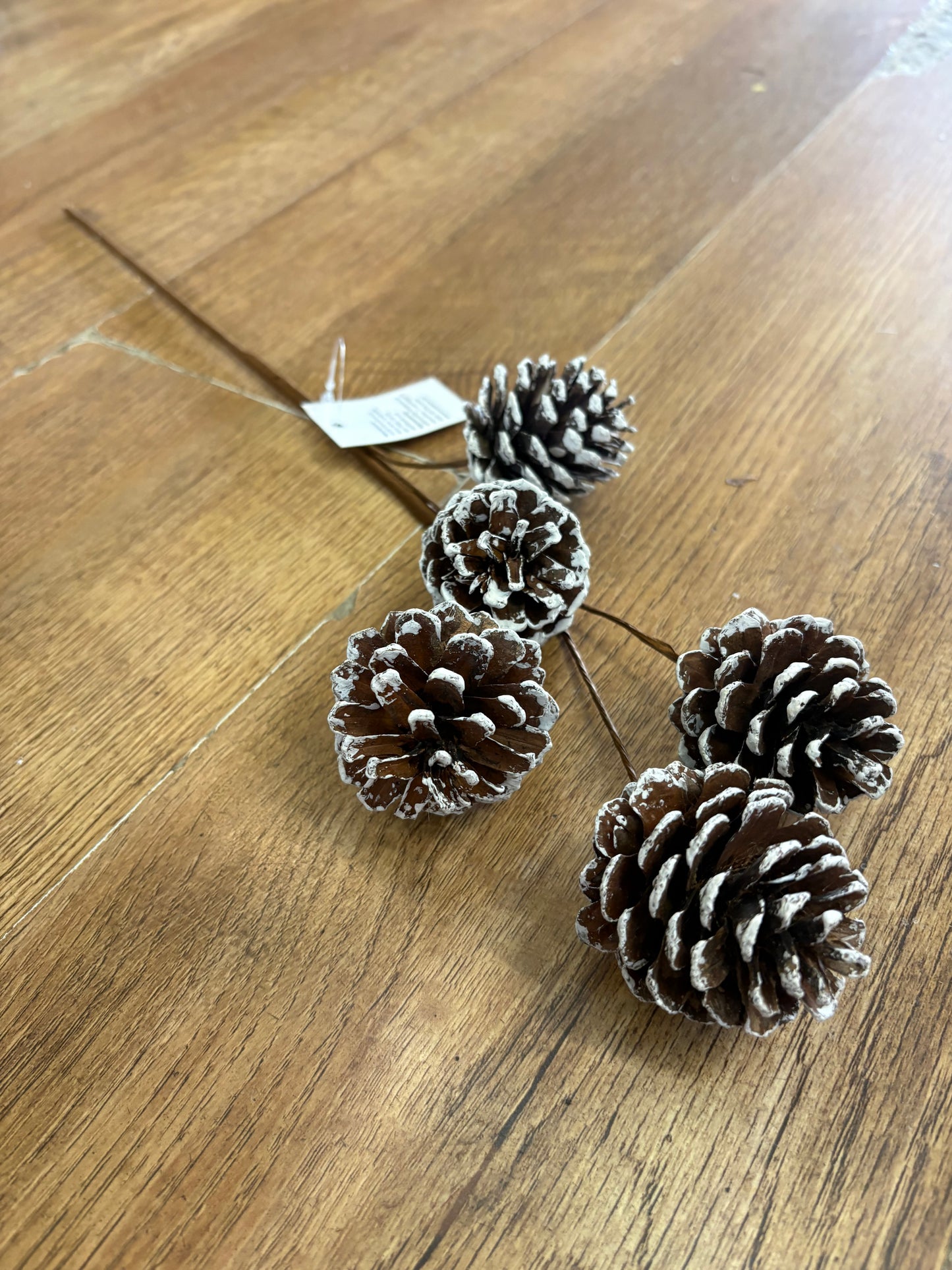 Medium length snowy natural cone stem