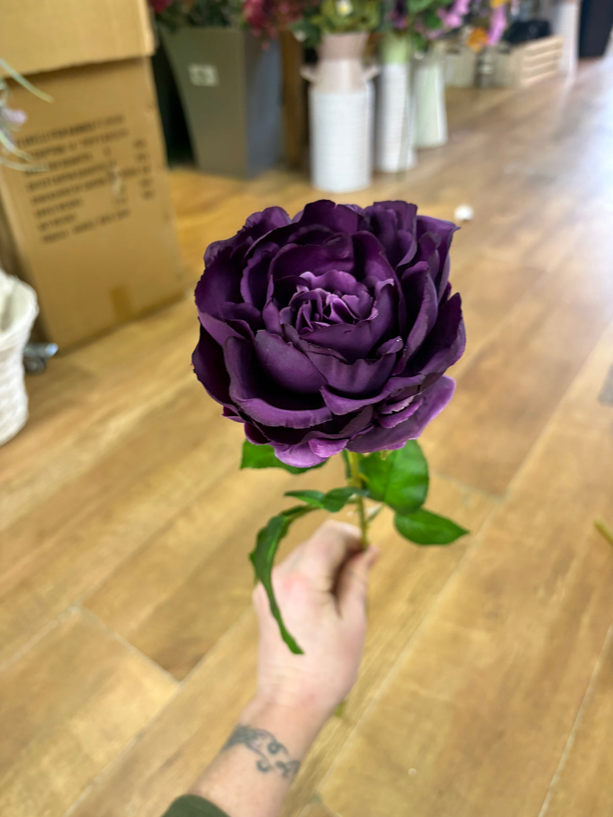 Long stem purple Lola peony