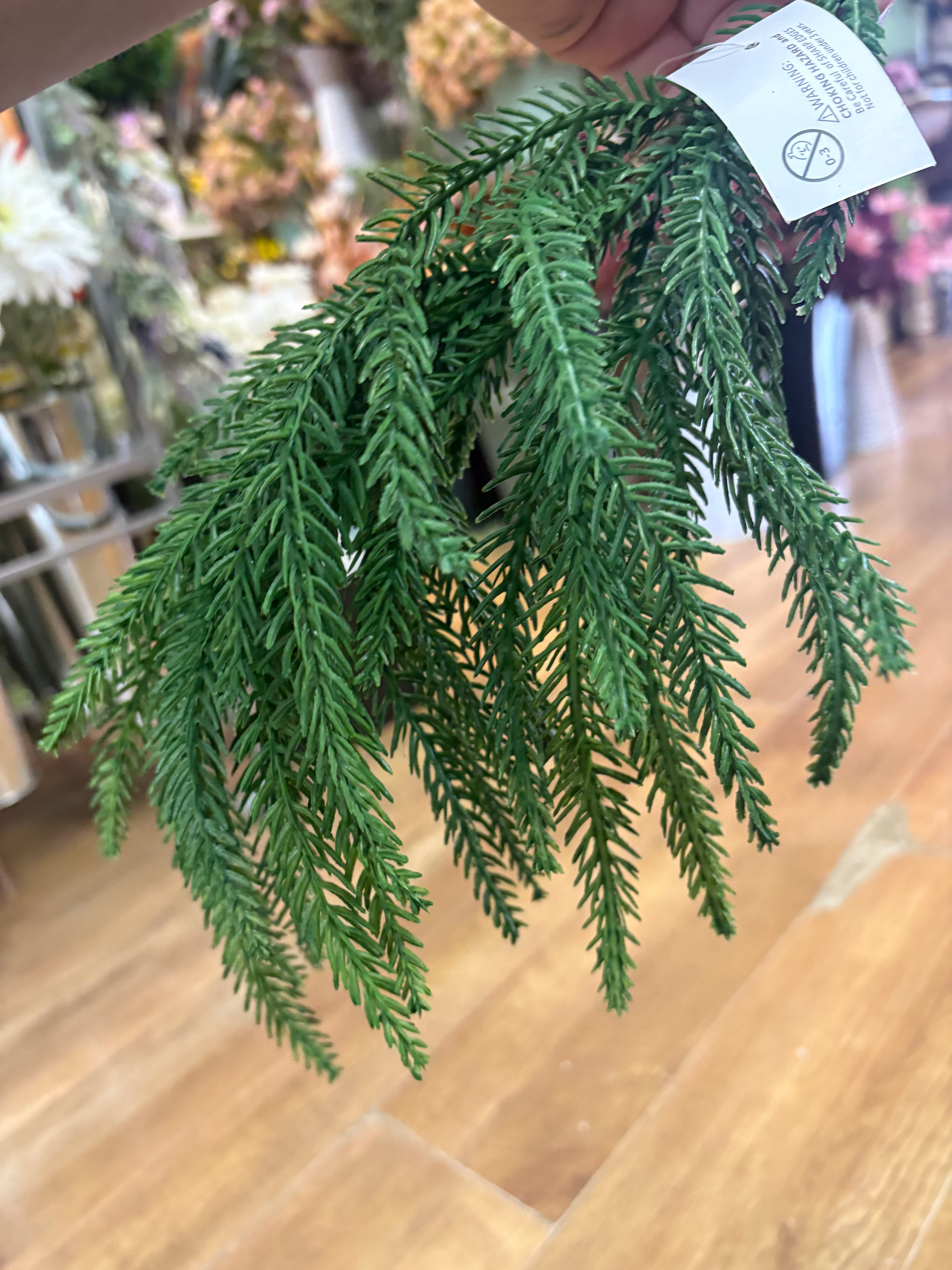 Trailing fir stem