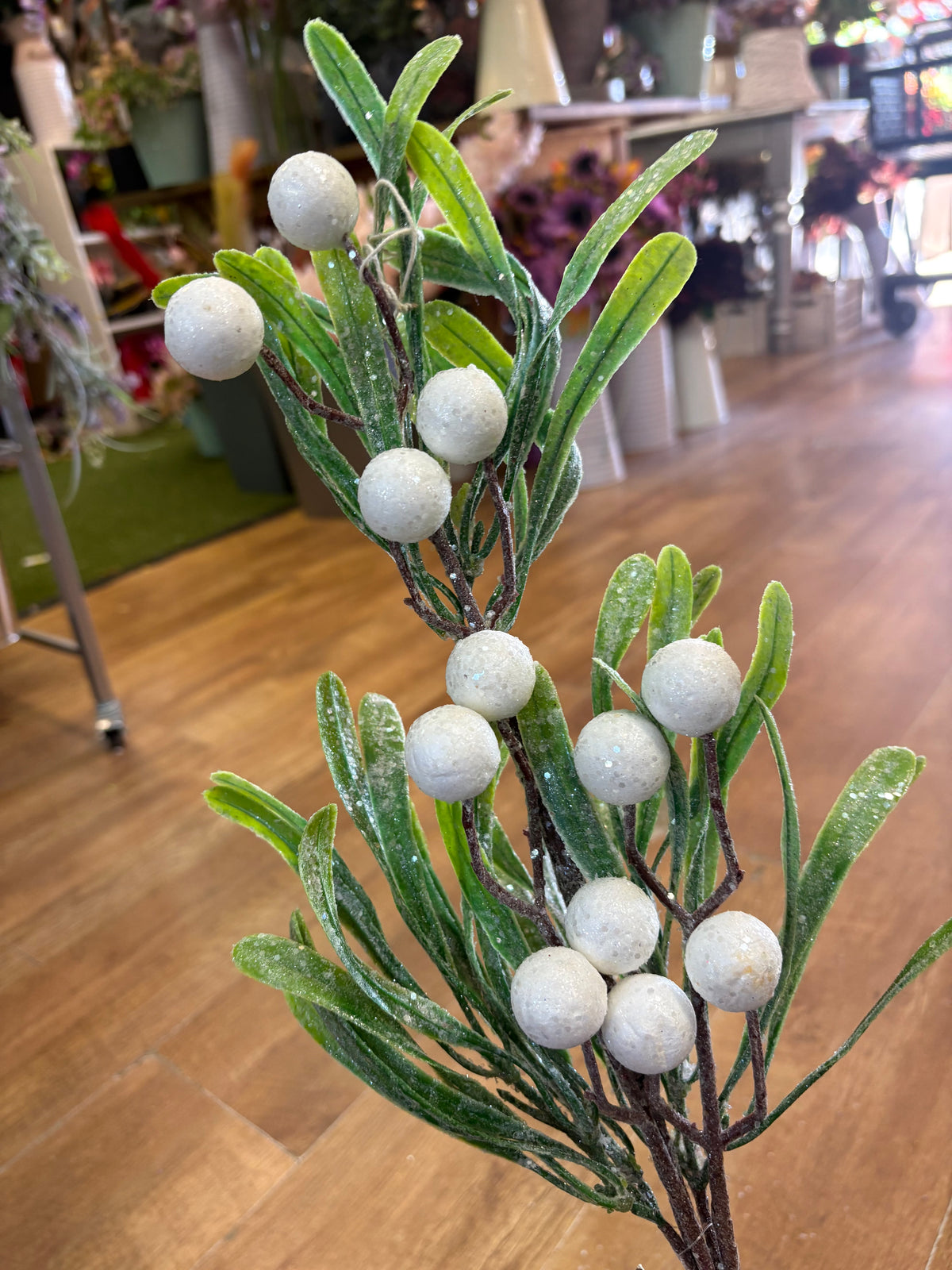 Long stem frosted large berries mistletoe stem