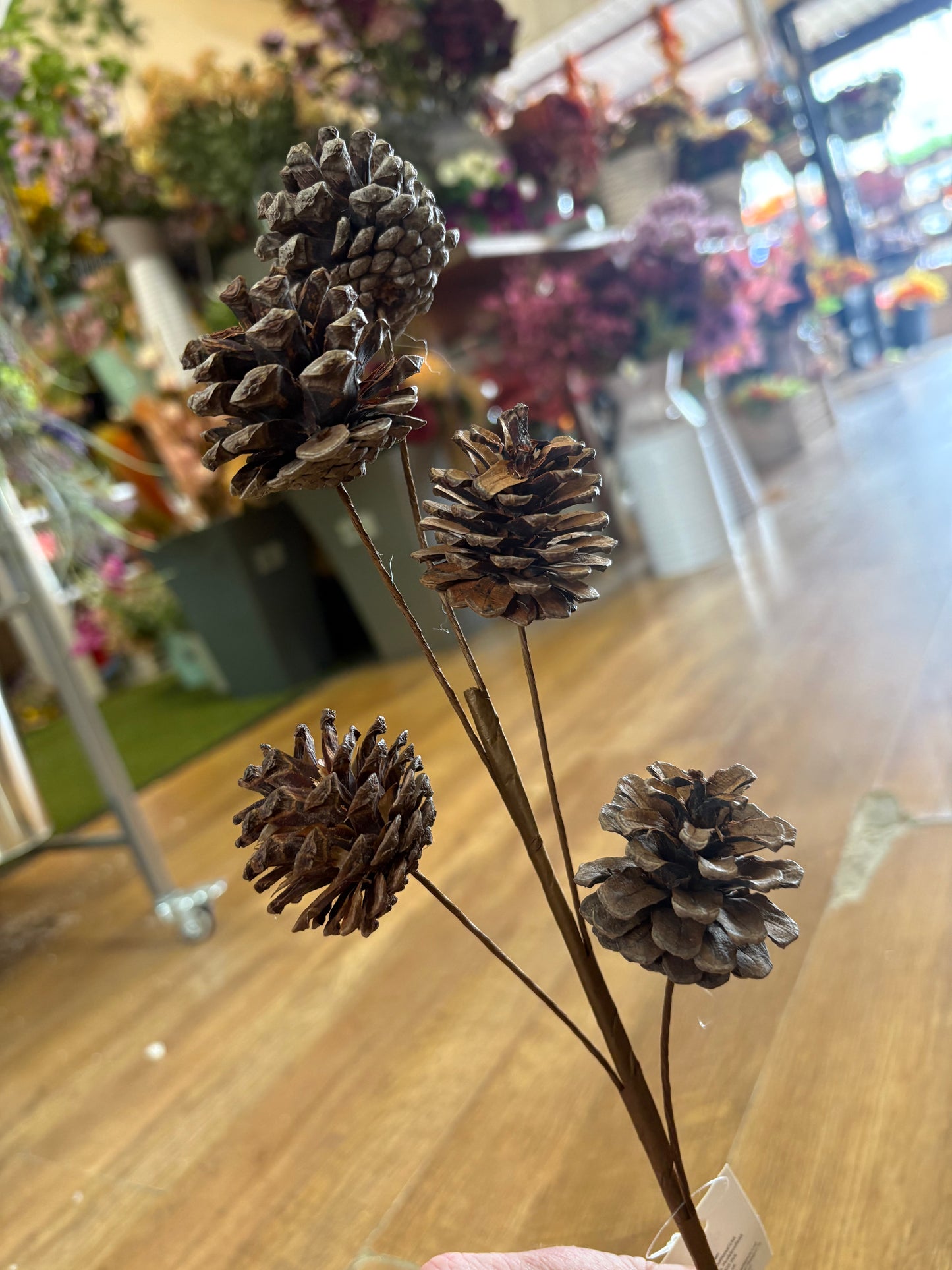 Medium length natural cone stem
