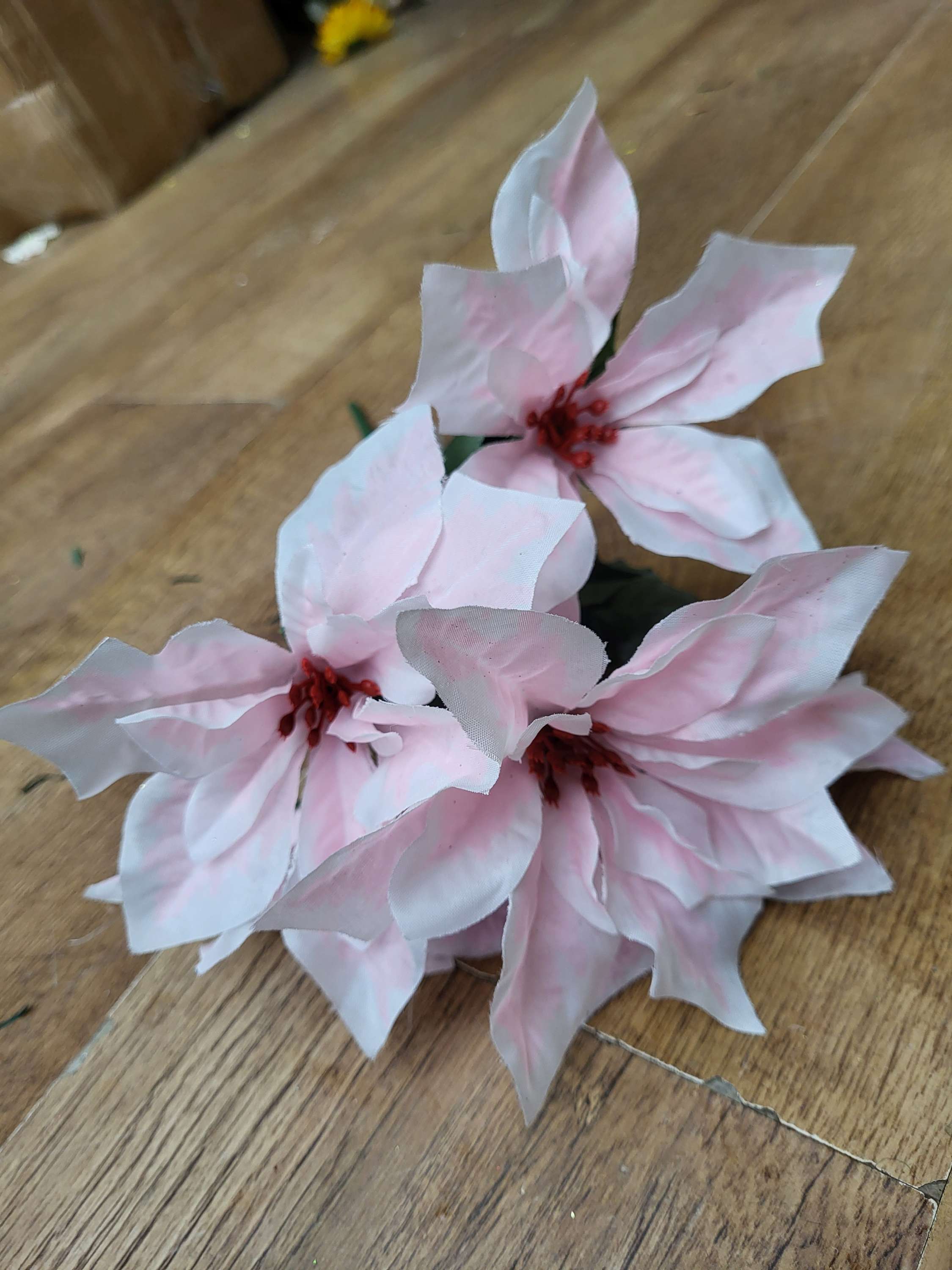Pale pink and white poinsettia bunch image 4