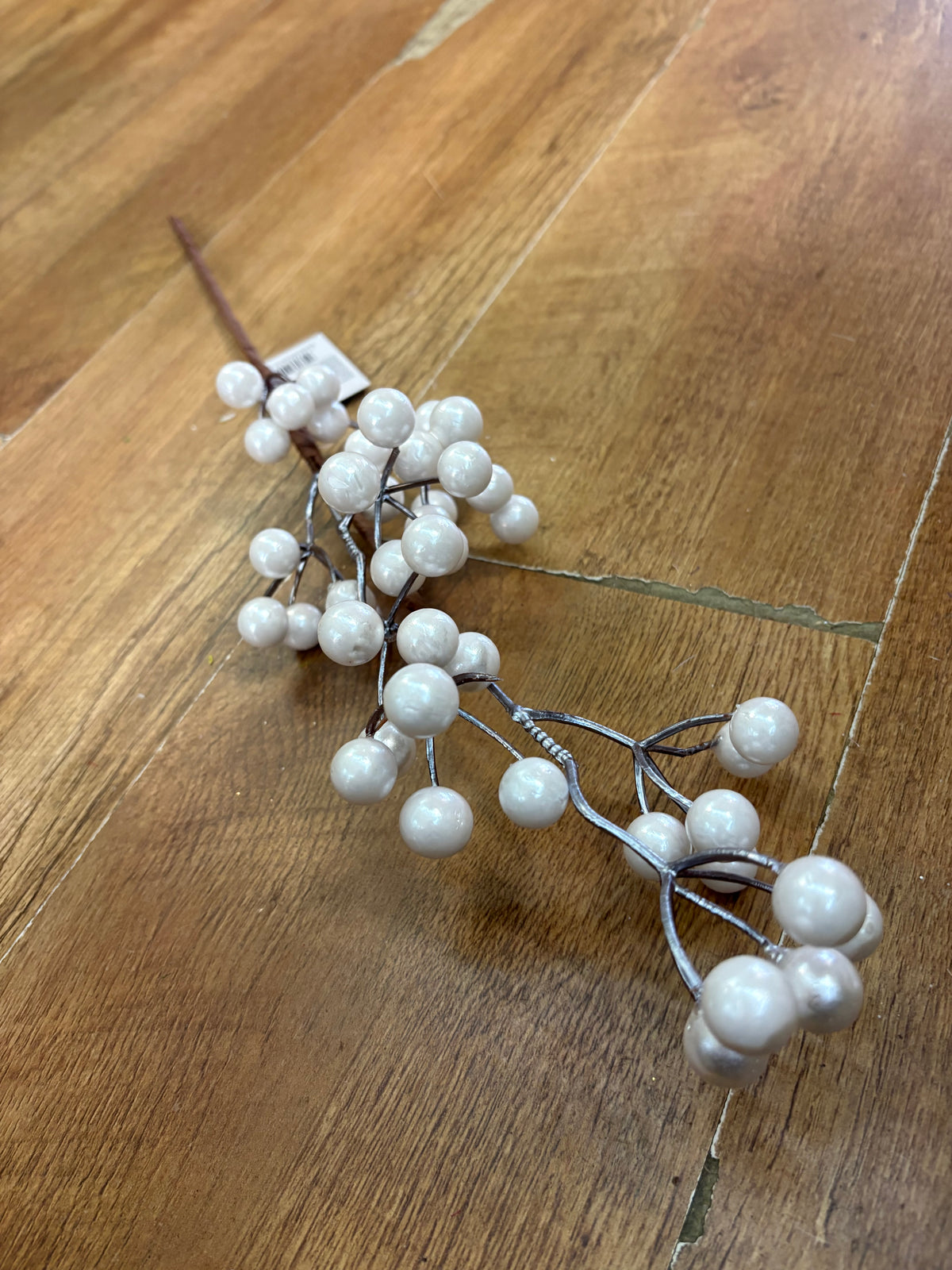 Long stem pearly white berry stem