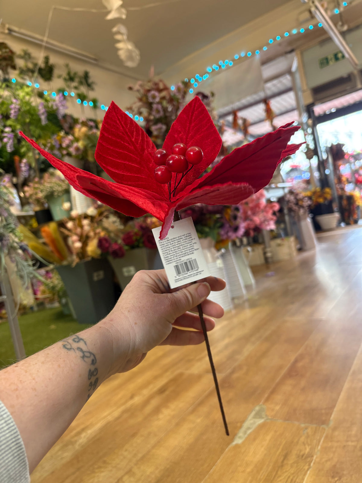 Short stem red velvet single poinsettia