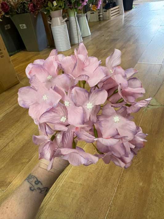 Long stem mauve hydrangea