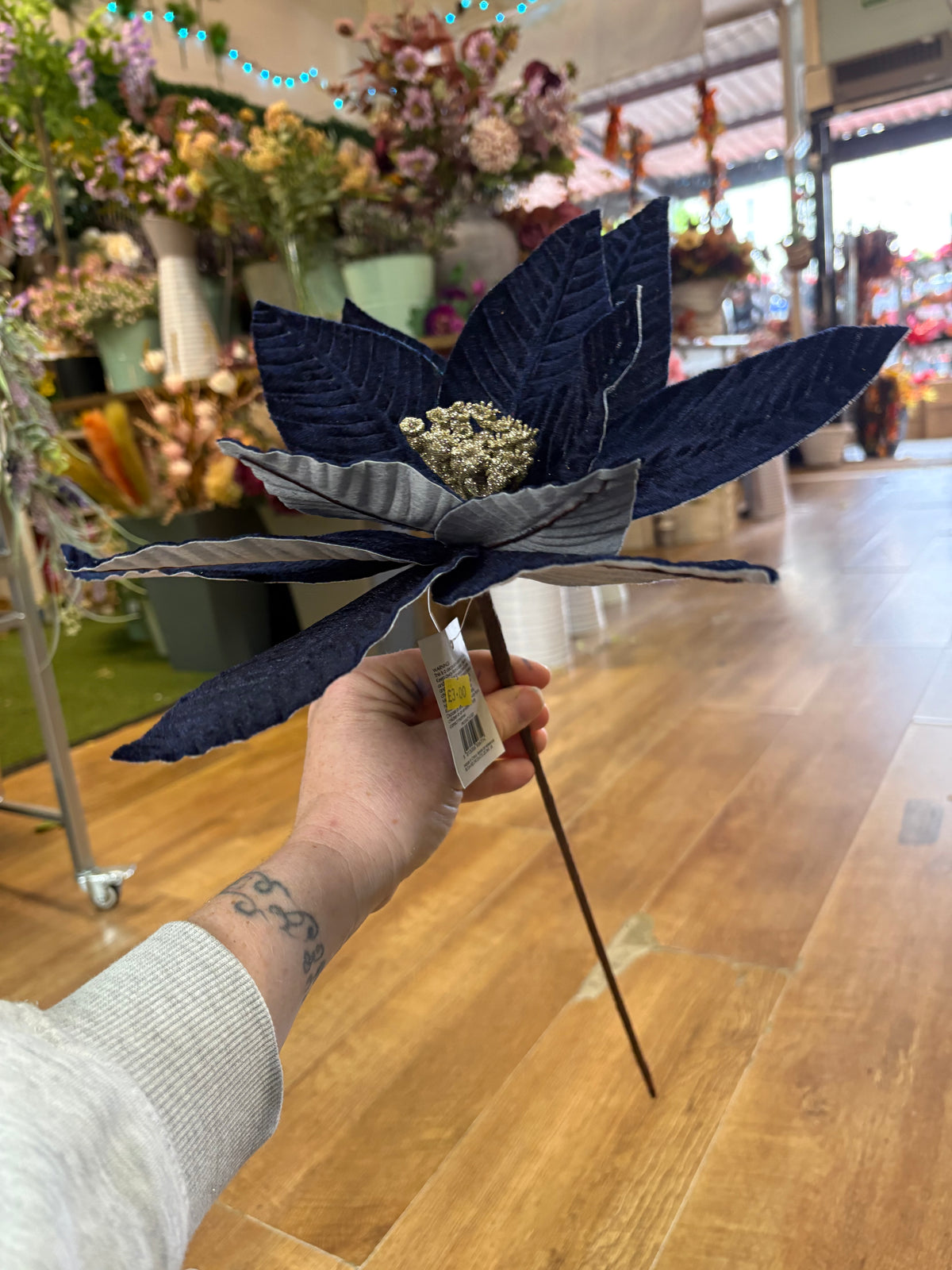 Large navy velvet single poinsettia