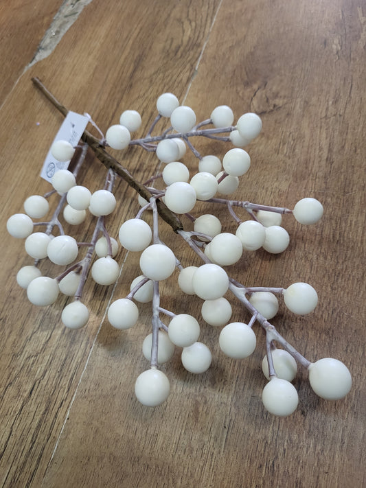 White berry branch  image 0