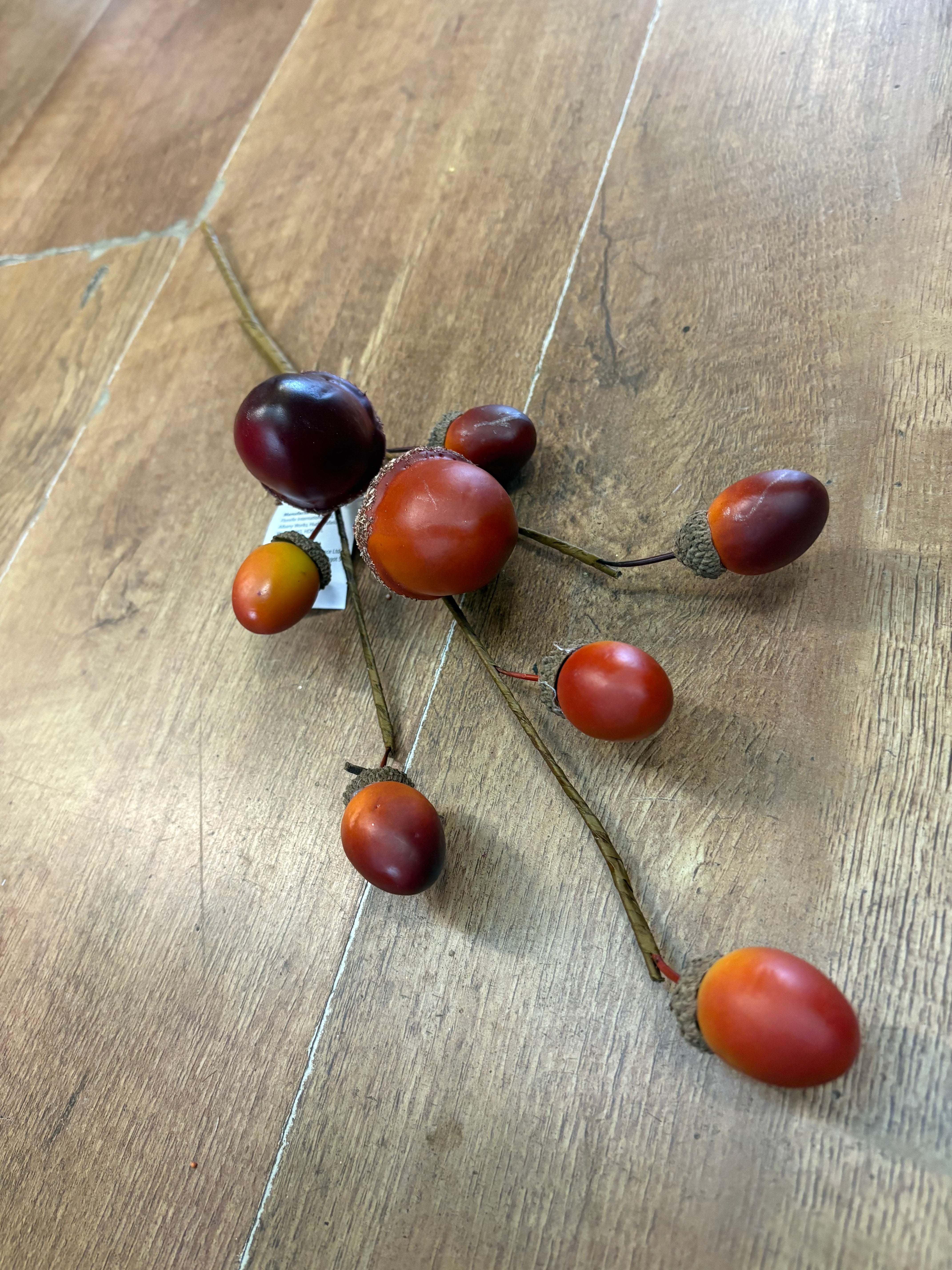 Acorn branch