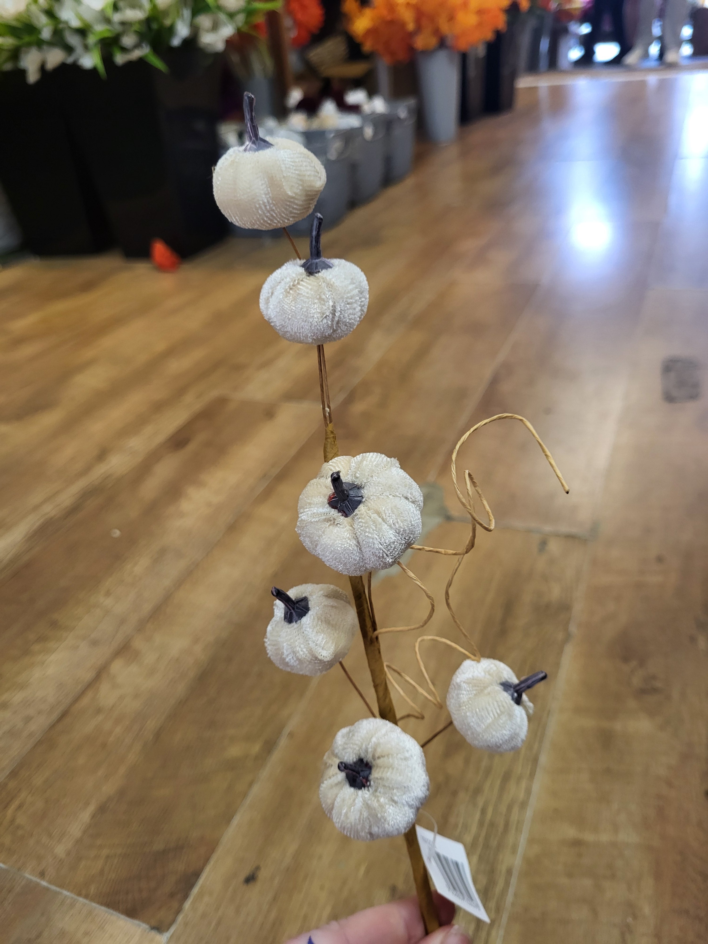 Cream velvet miniature pumpkin stem  image 0