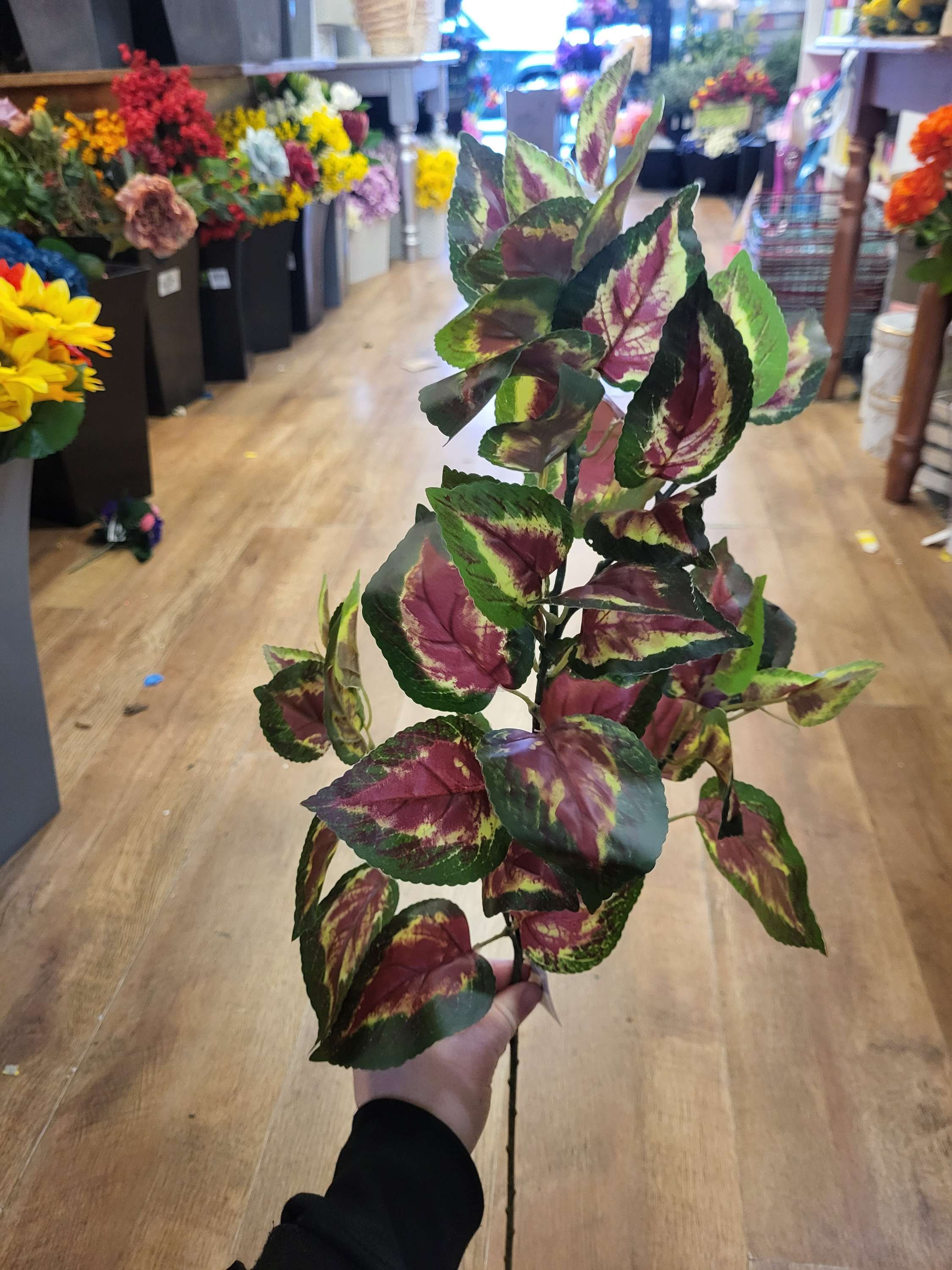 Long stem coleus leaf spray image 2