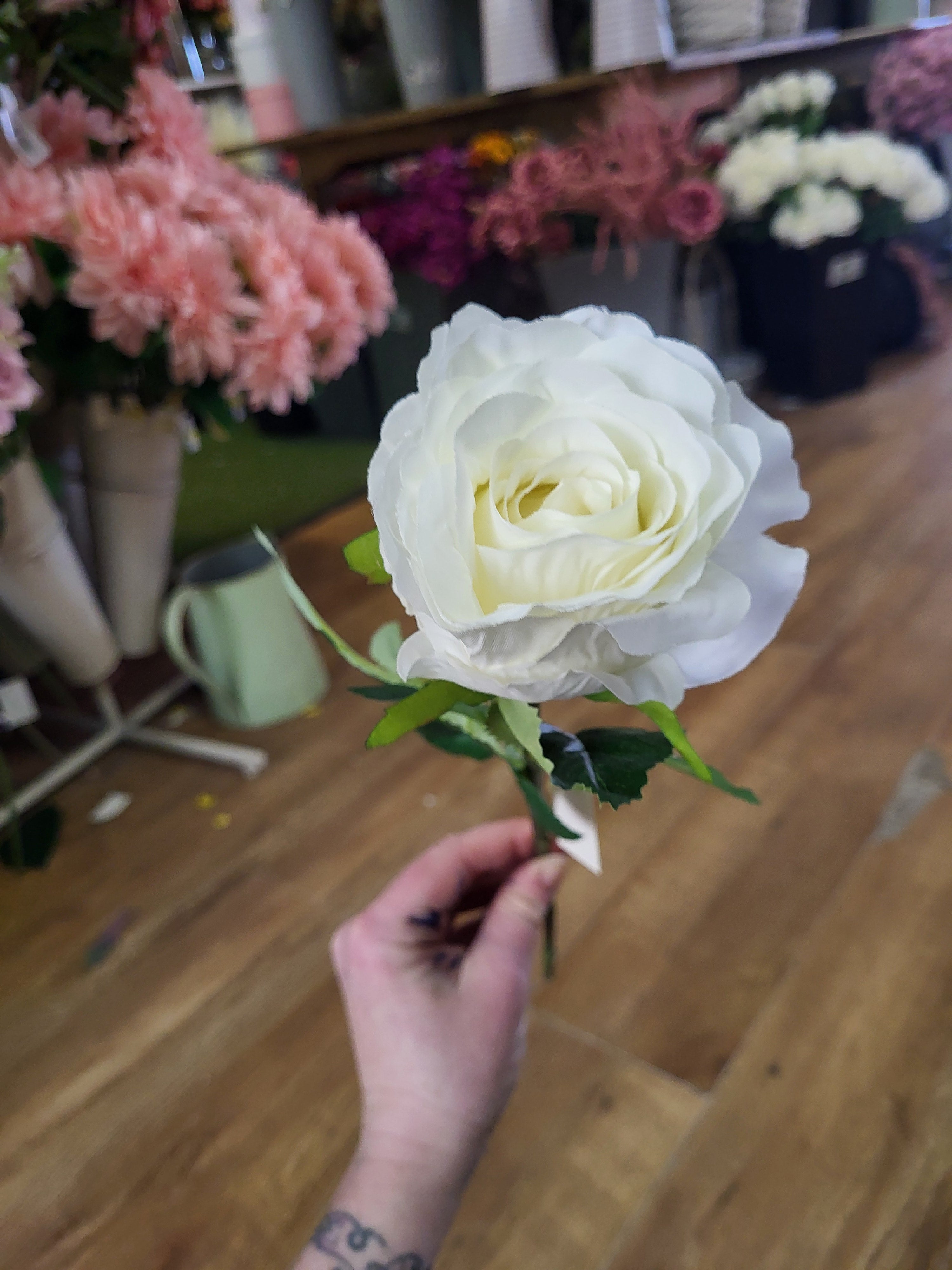 Ivory Lila Rose  image 3