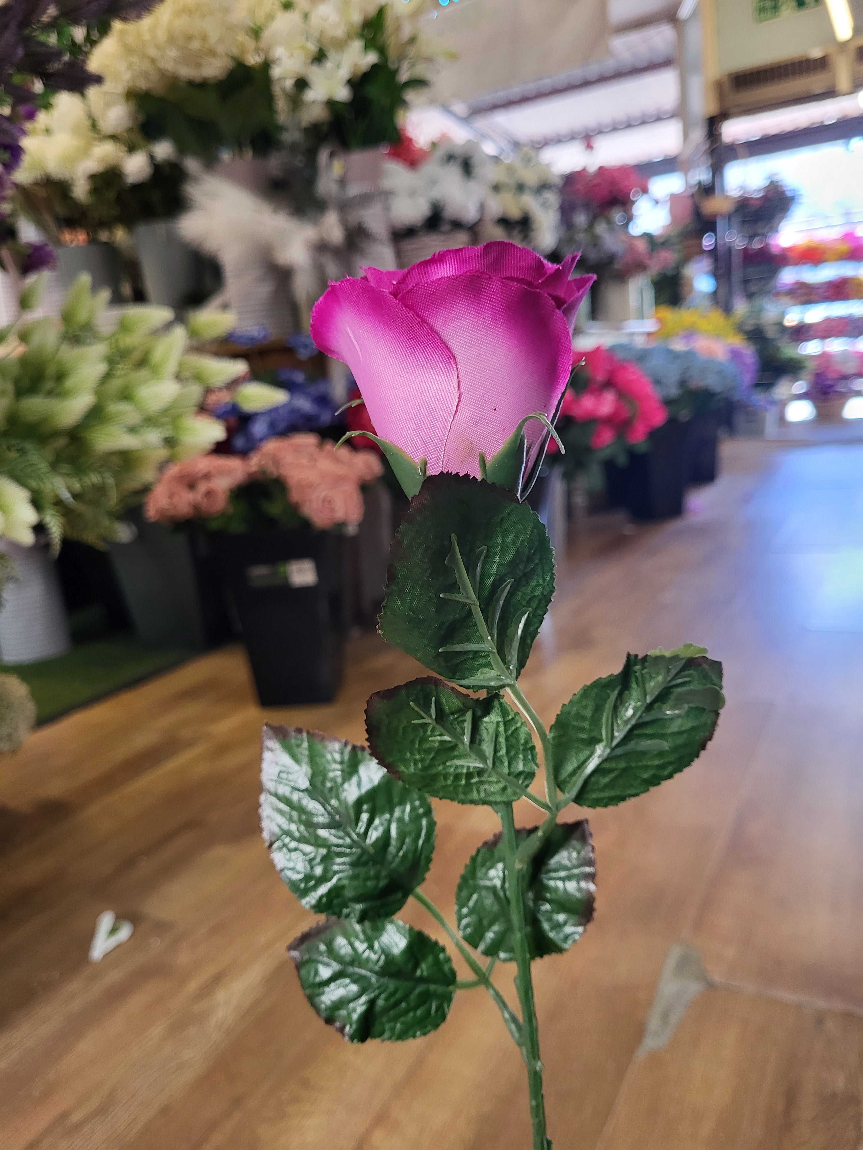 Bundle of 10 long stem raspberry closed roses image 2