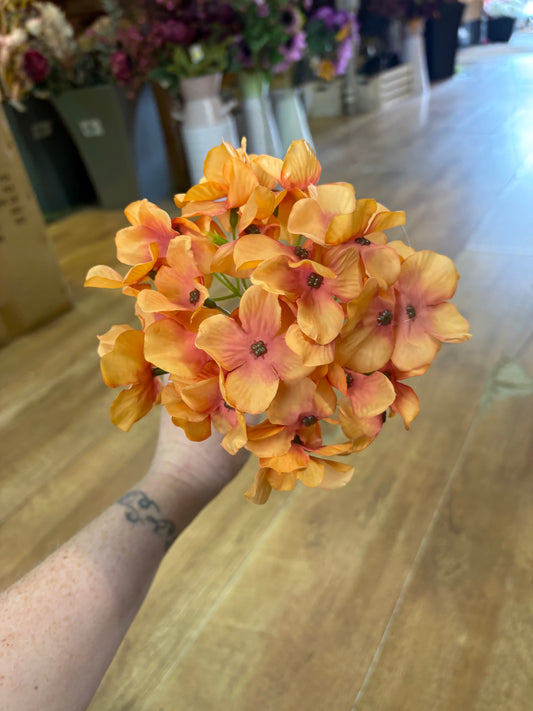 Long stem burnt orange hydrangea