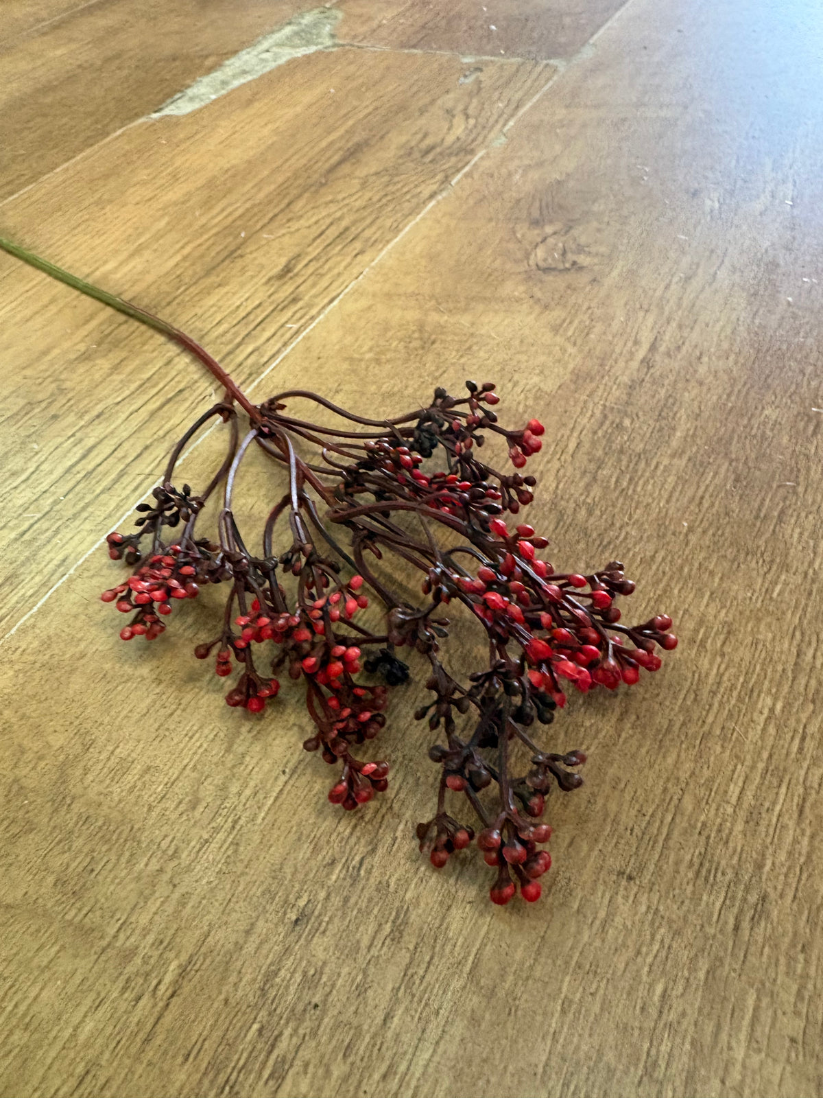 Mixed reds felicity bud pick