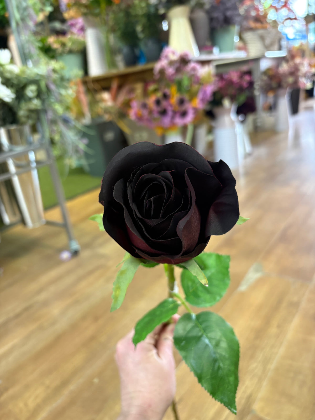 Long stem dark winter rose