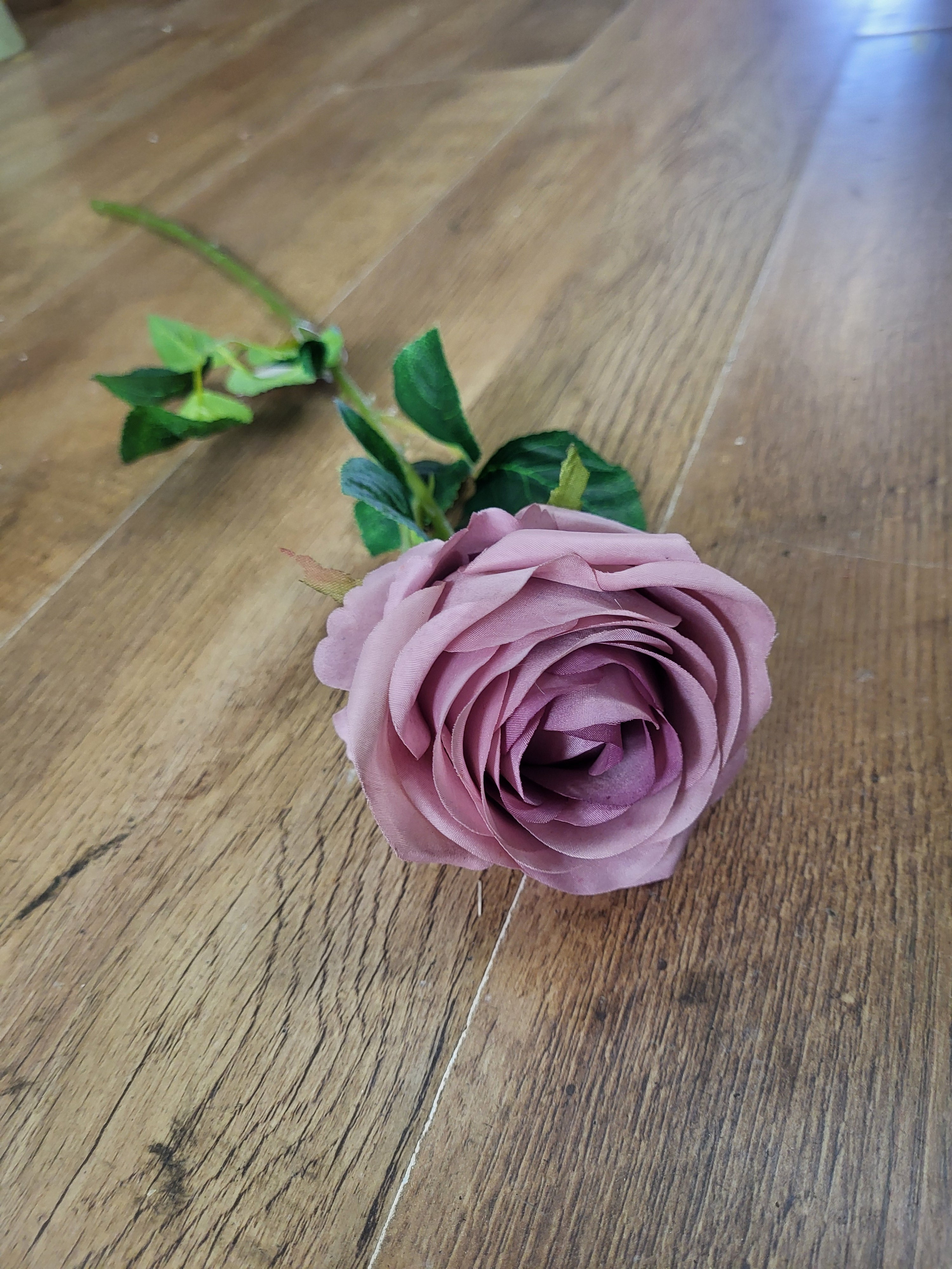 Single vintage mauve Harper rose  image 0