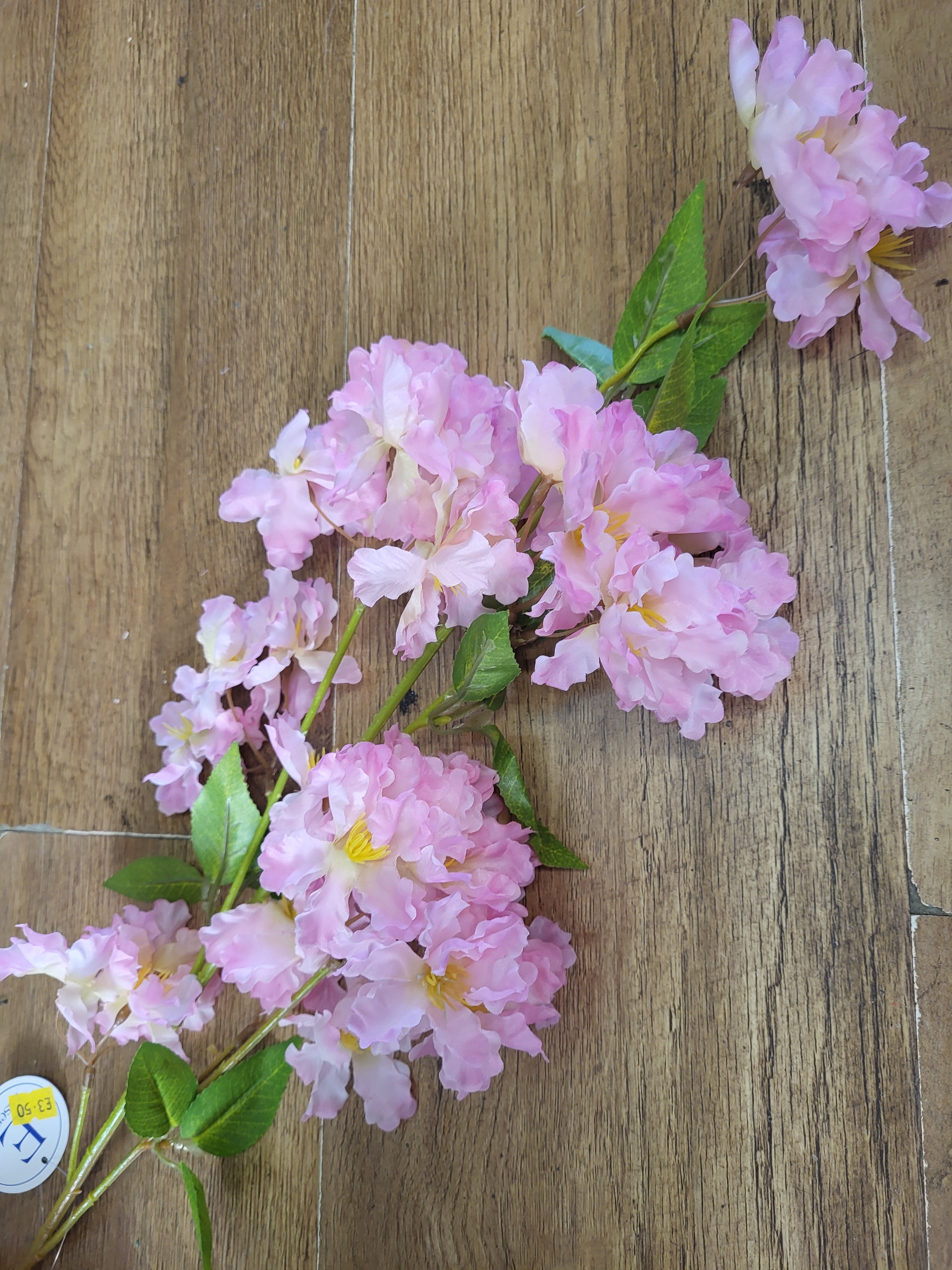 Long stem pink apple tree blossom image 5