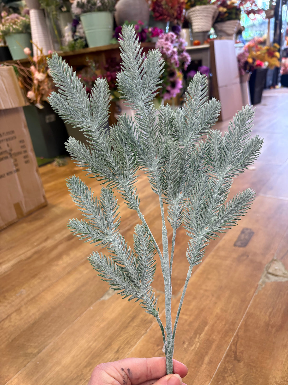 Long stem frosted pine spray