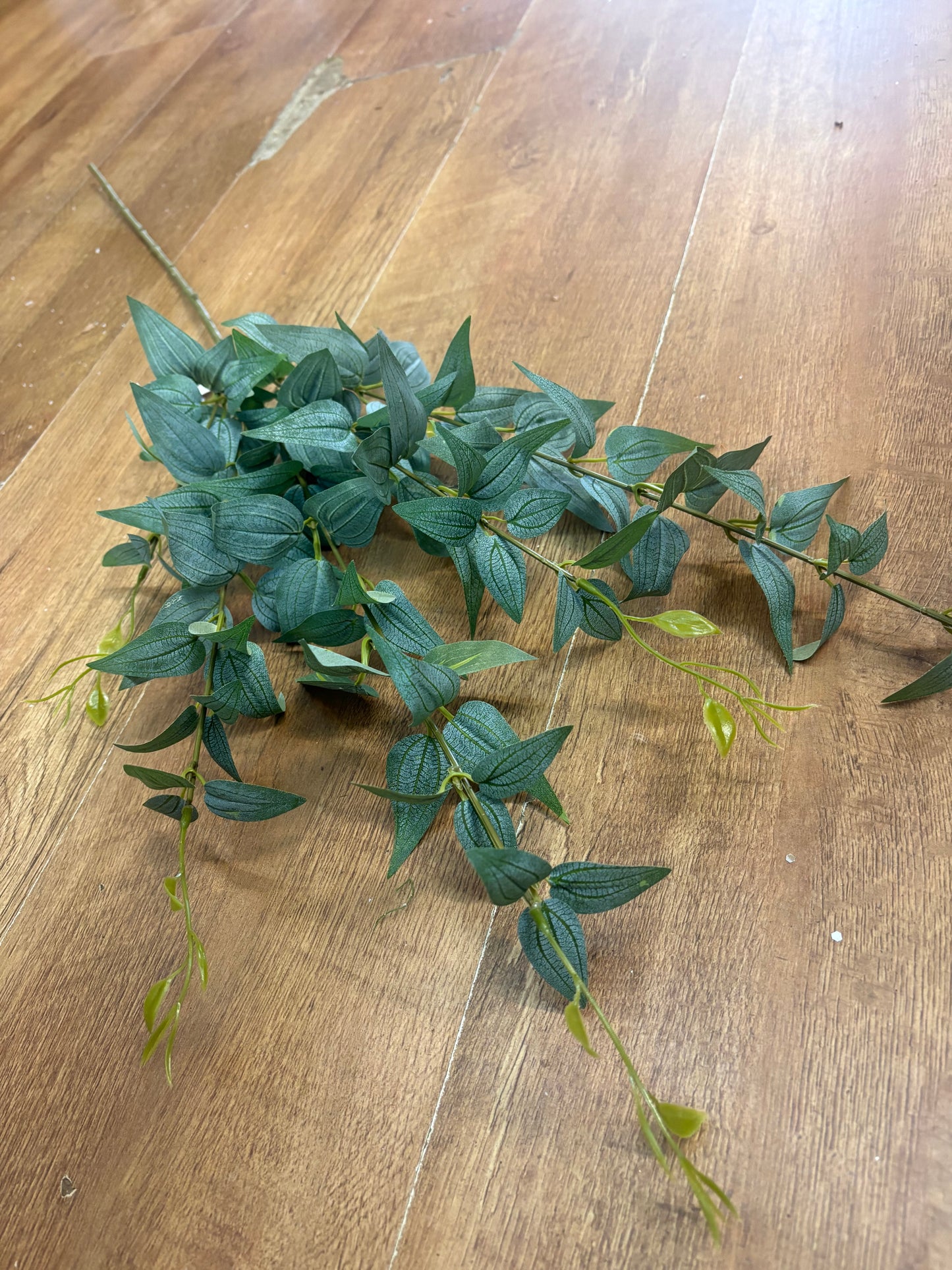 Long stem natural green Italian ruscus spray