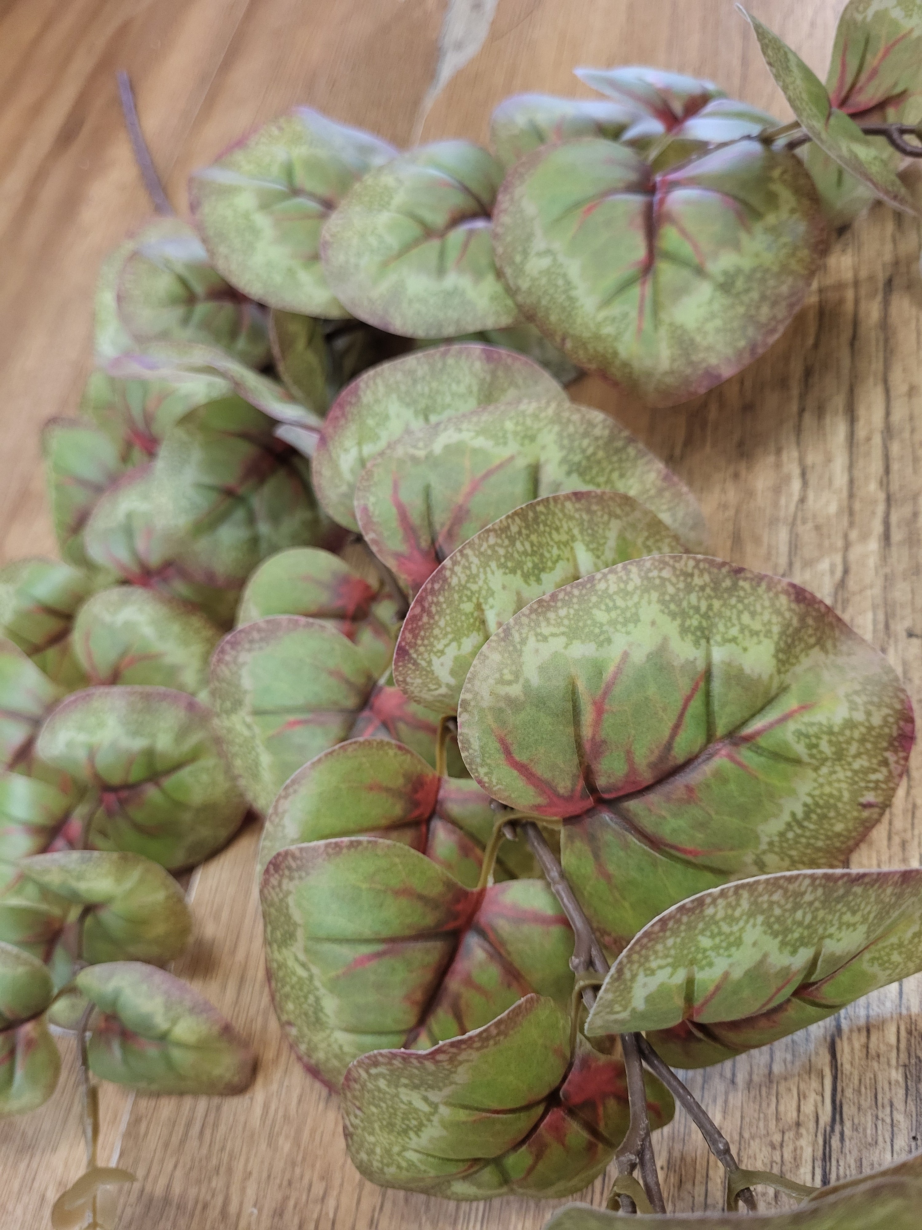Long stem brown and green rounded eucalyptus spray  image 2