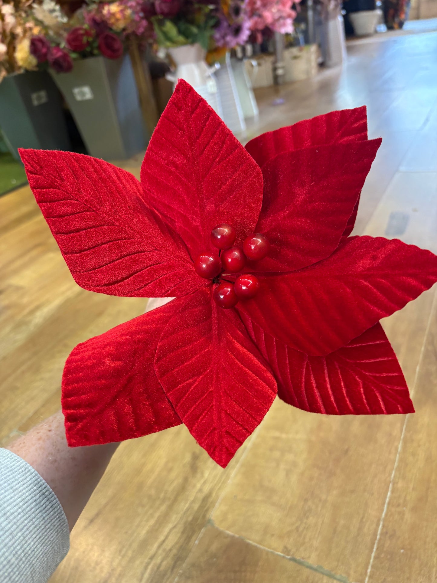 Short stem red velvet single poinsettia