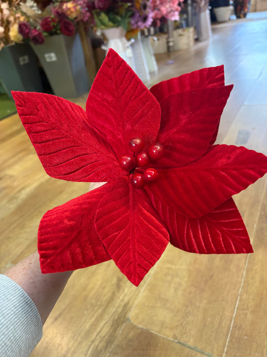Short stem red velvet single poinsettia