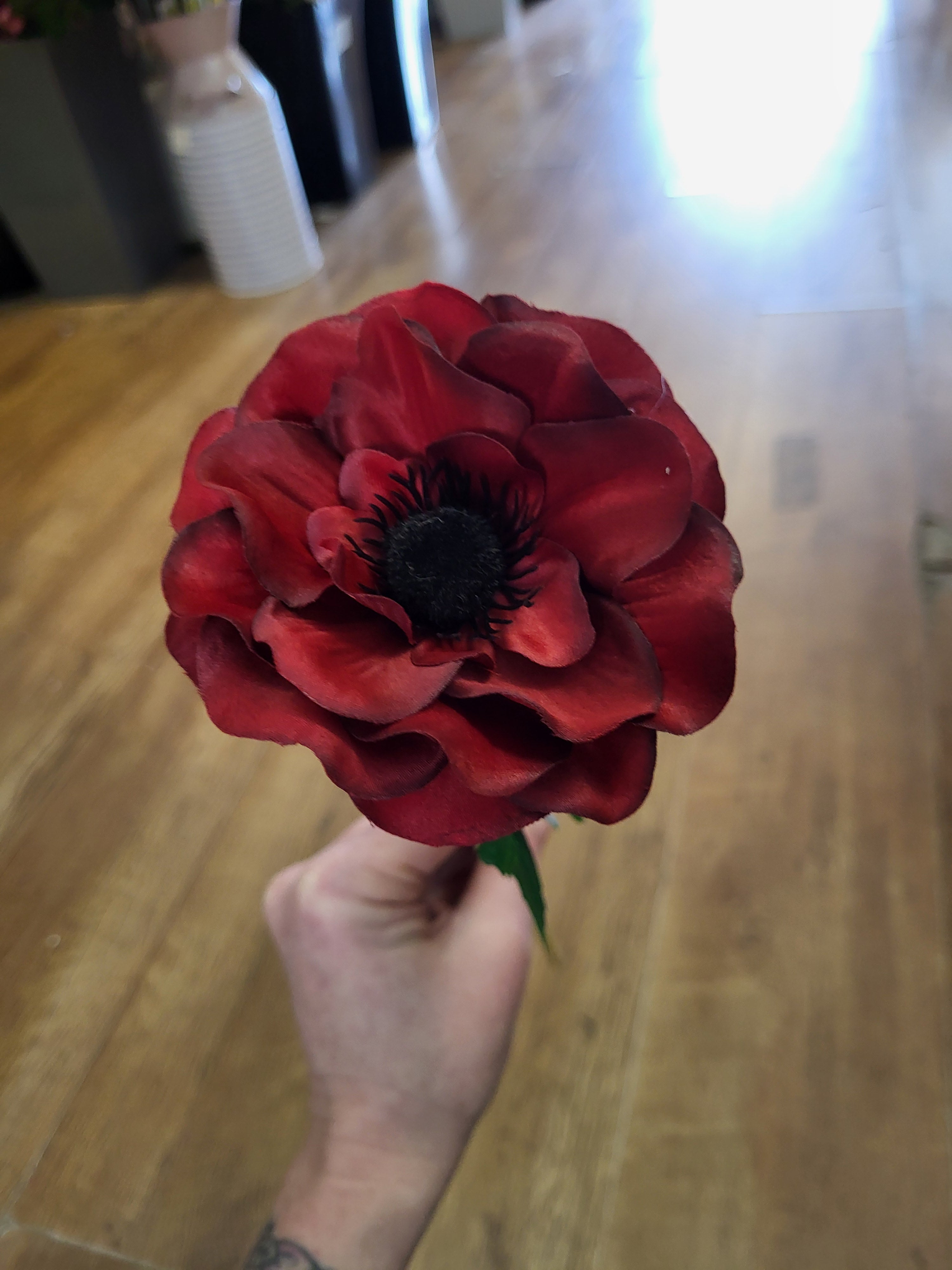 Single red anemone  image 2